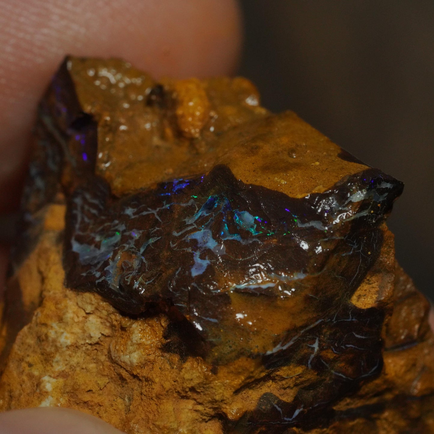 Boulder Opal