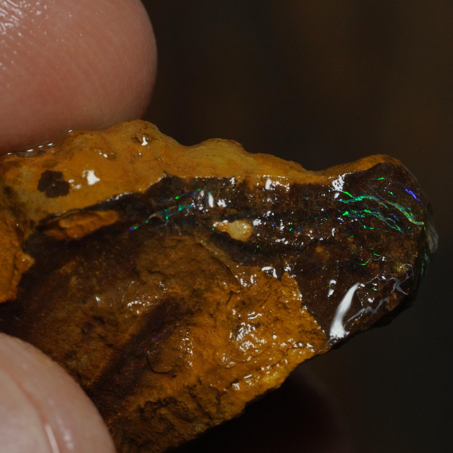 Boulder Opal