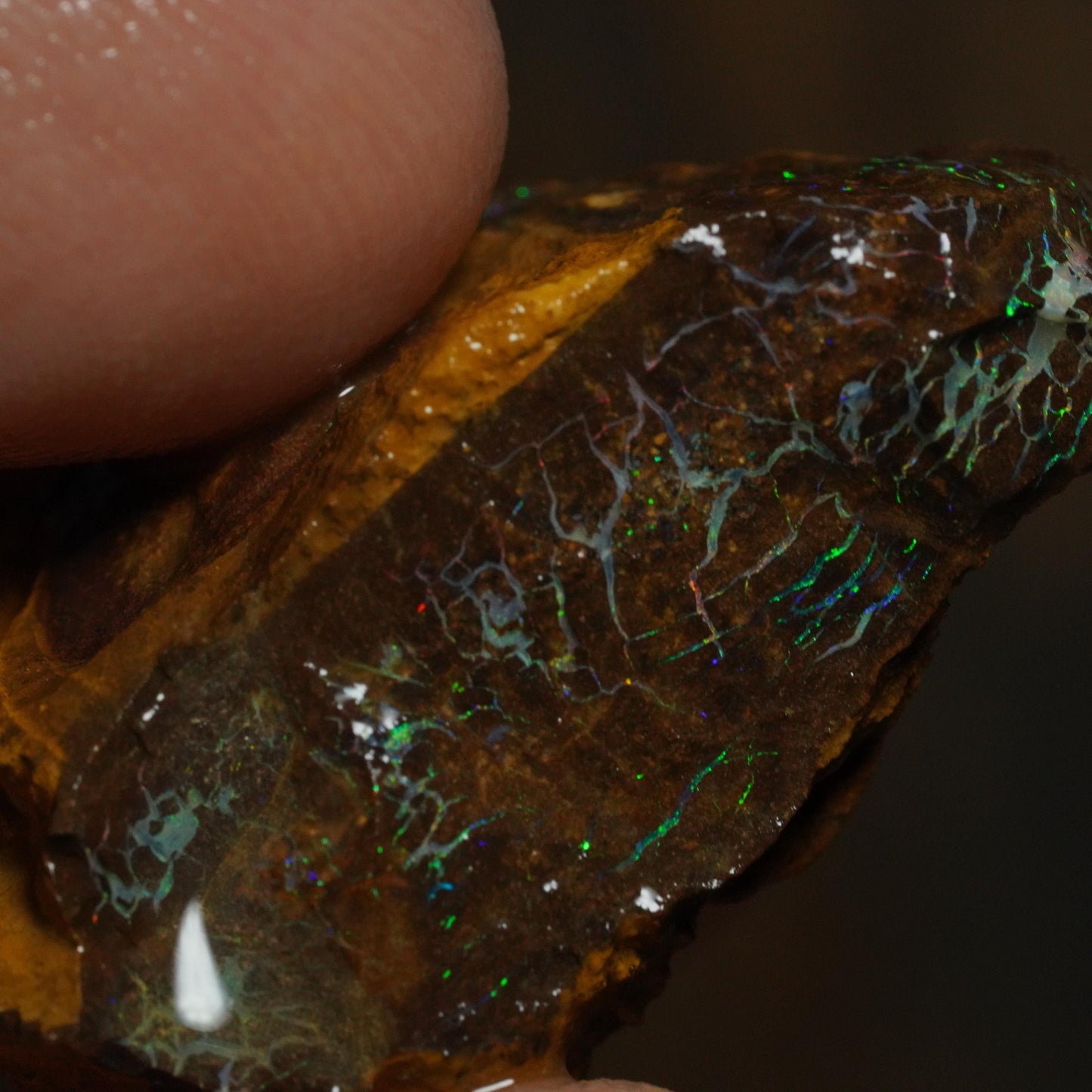 Boulder Opal
