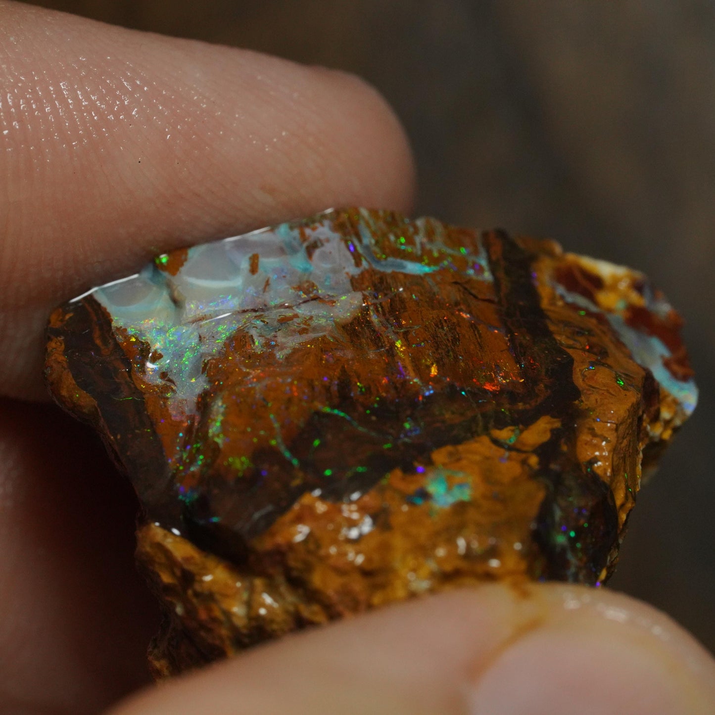 Boulder Opal
