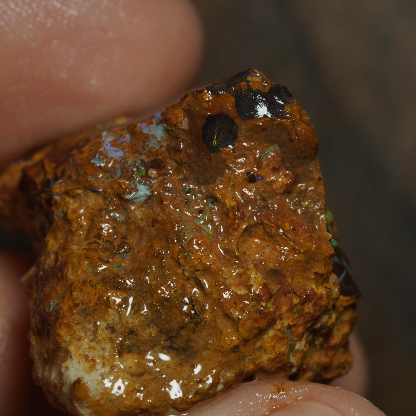 Boulder Opal
