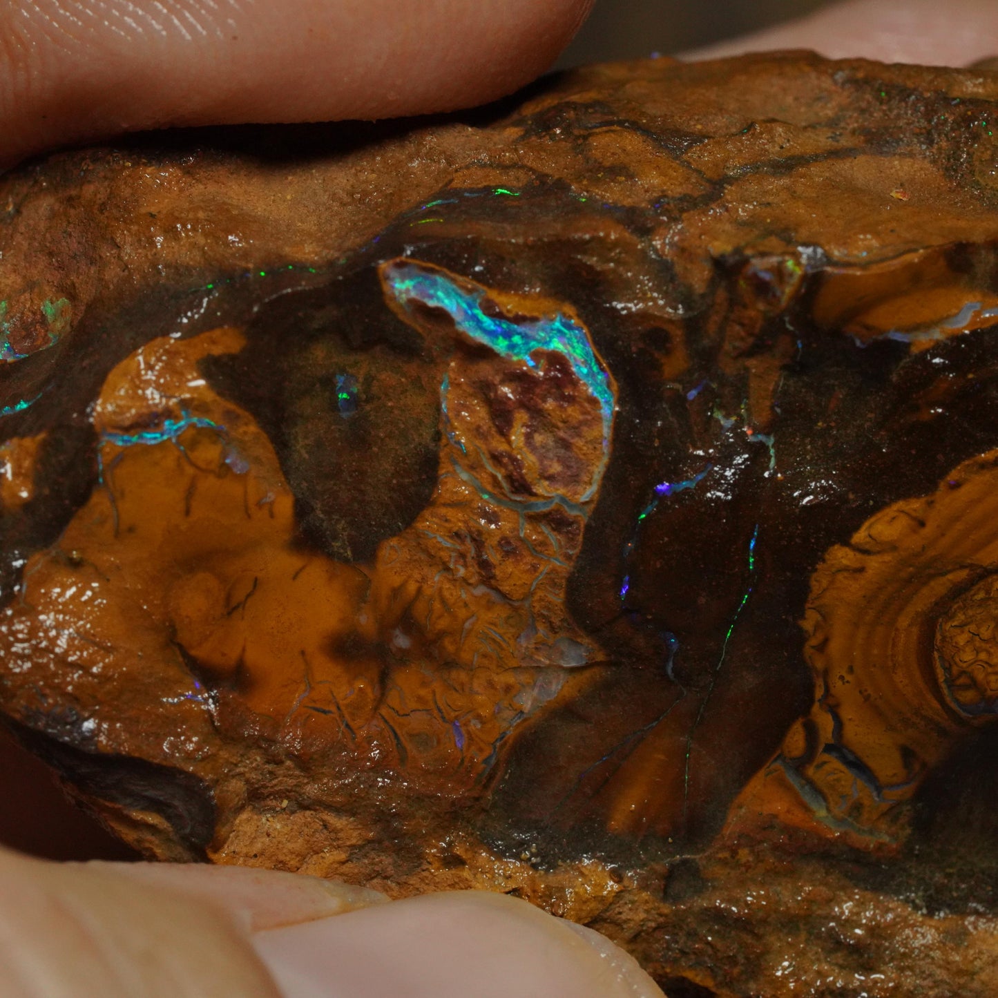 Boulder Opal