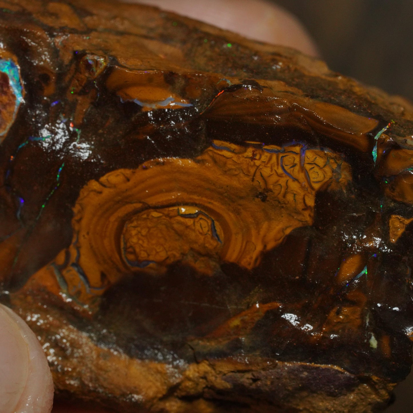 Boulder Opal