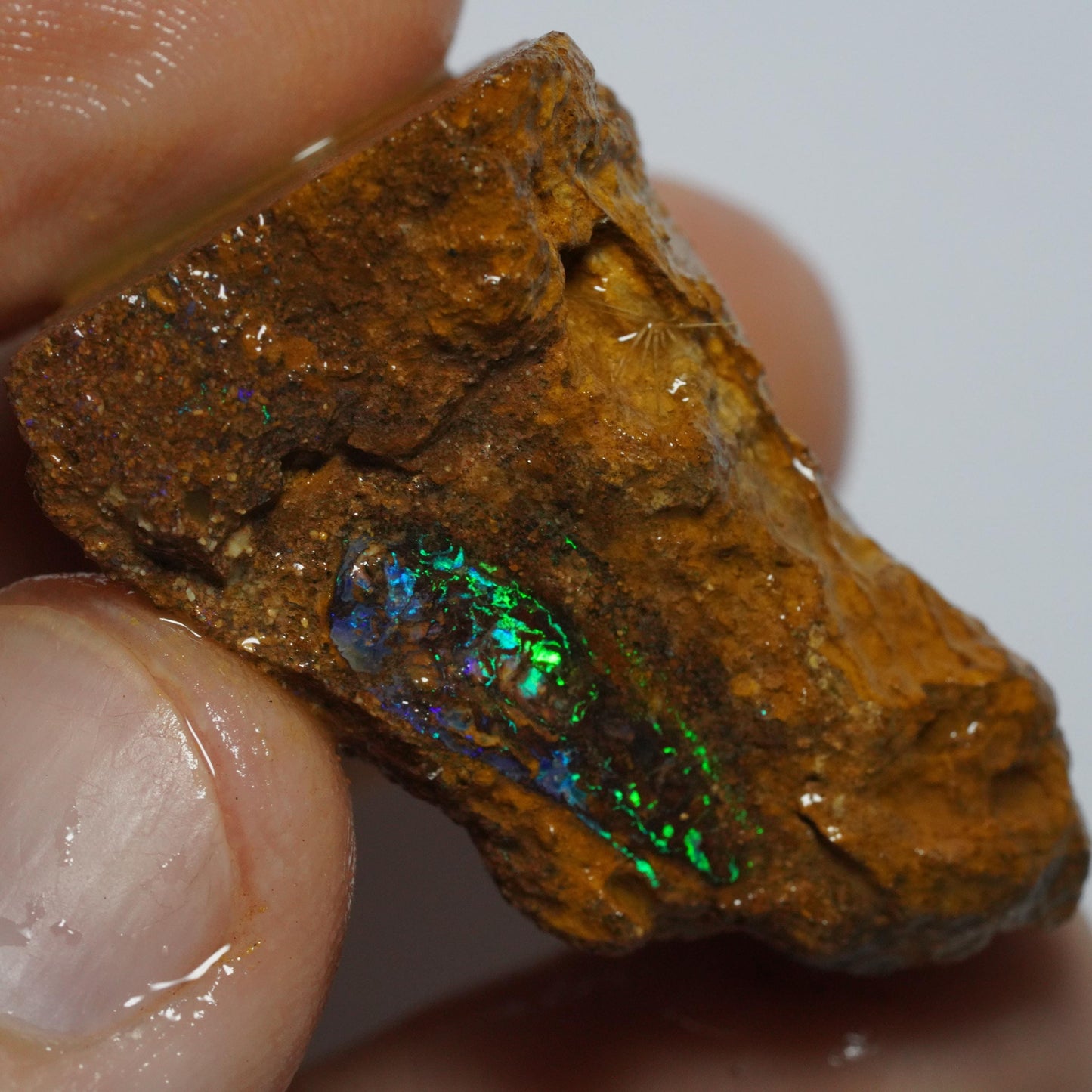 Boulder Opal