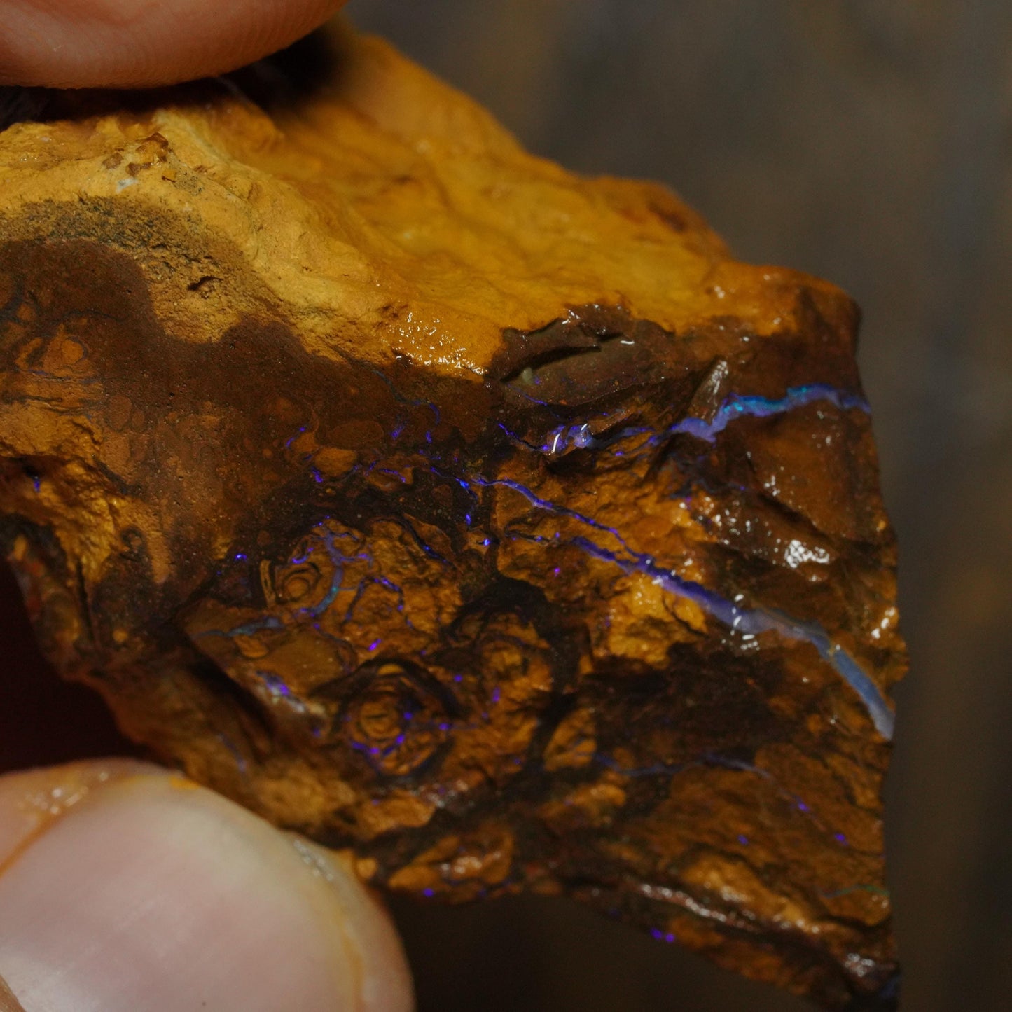 Boulder Opal