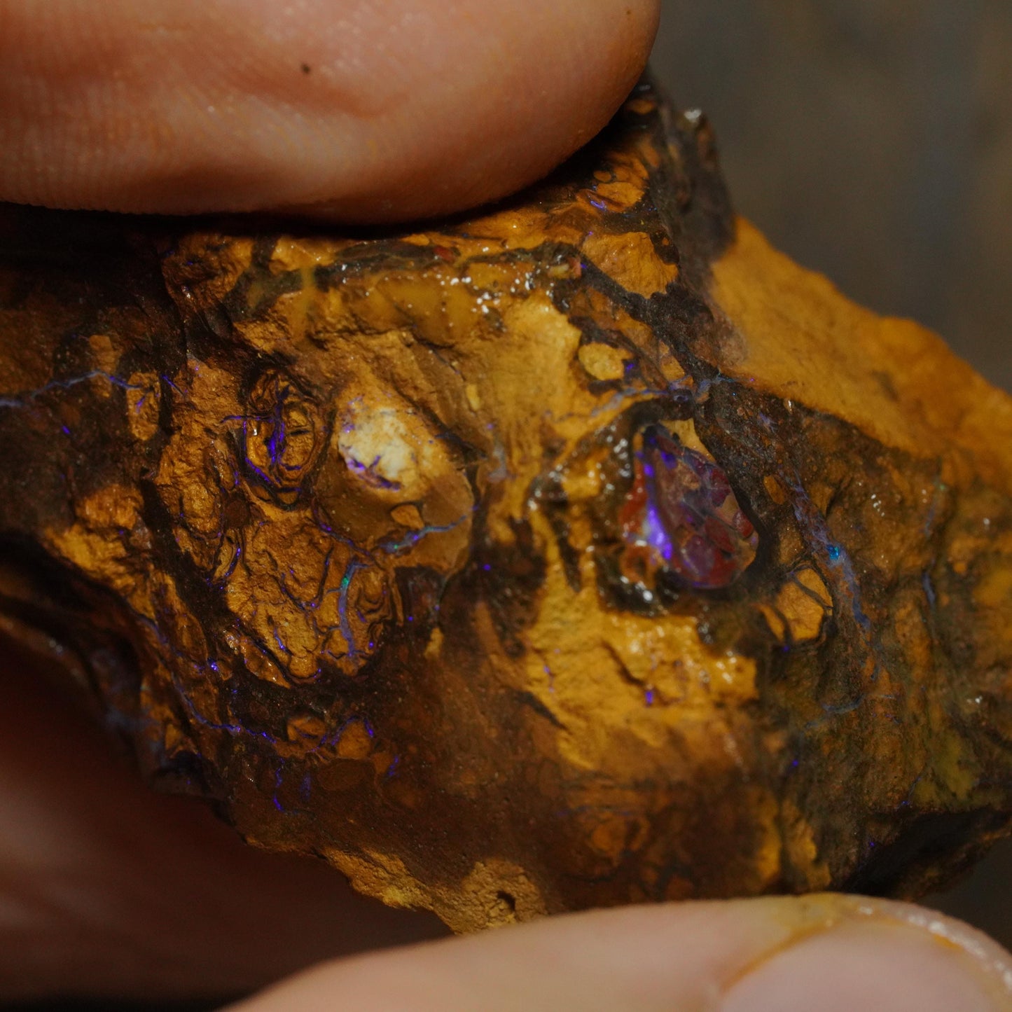Boulder Opal