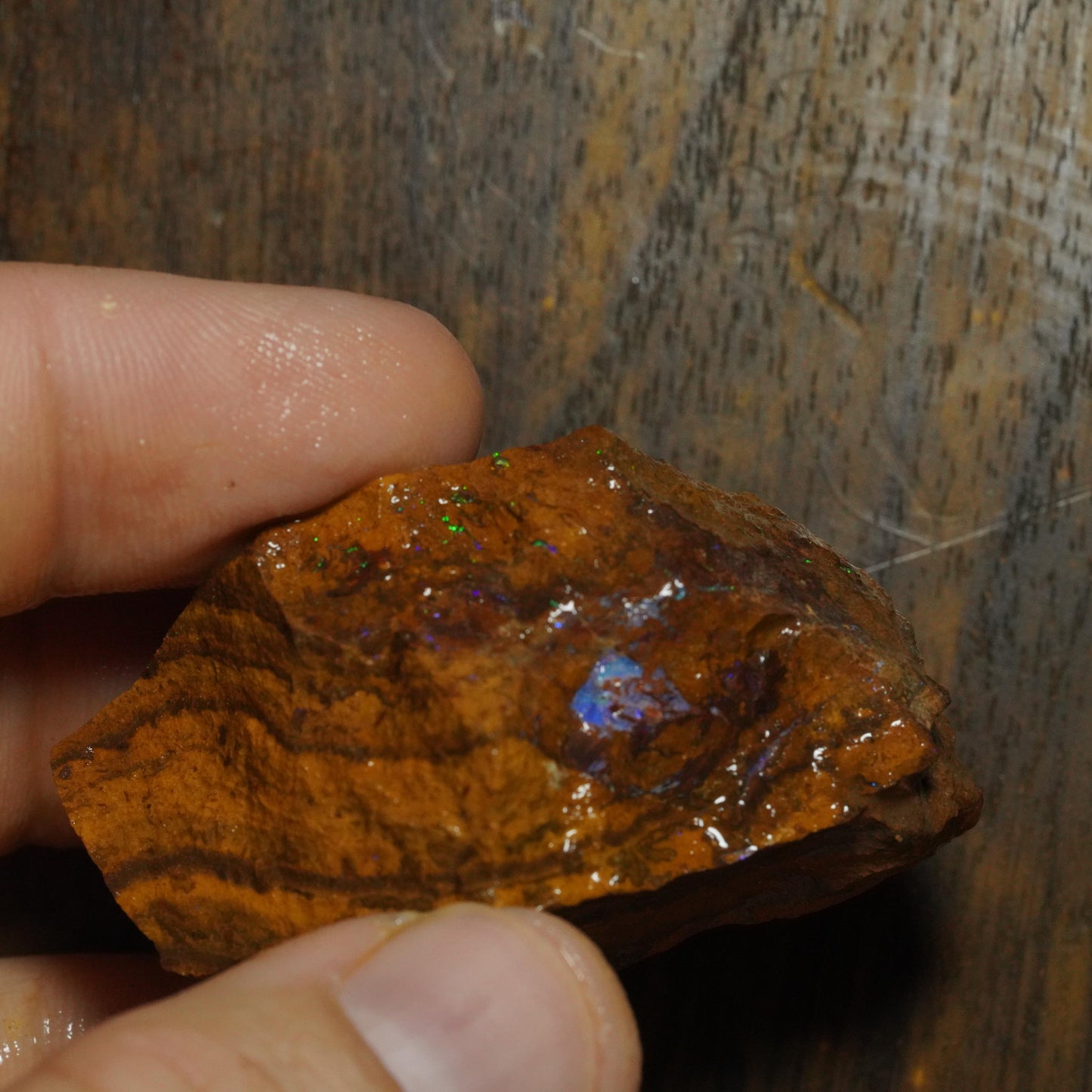 Boulder Opal