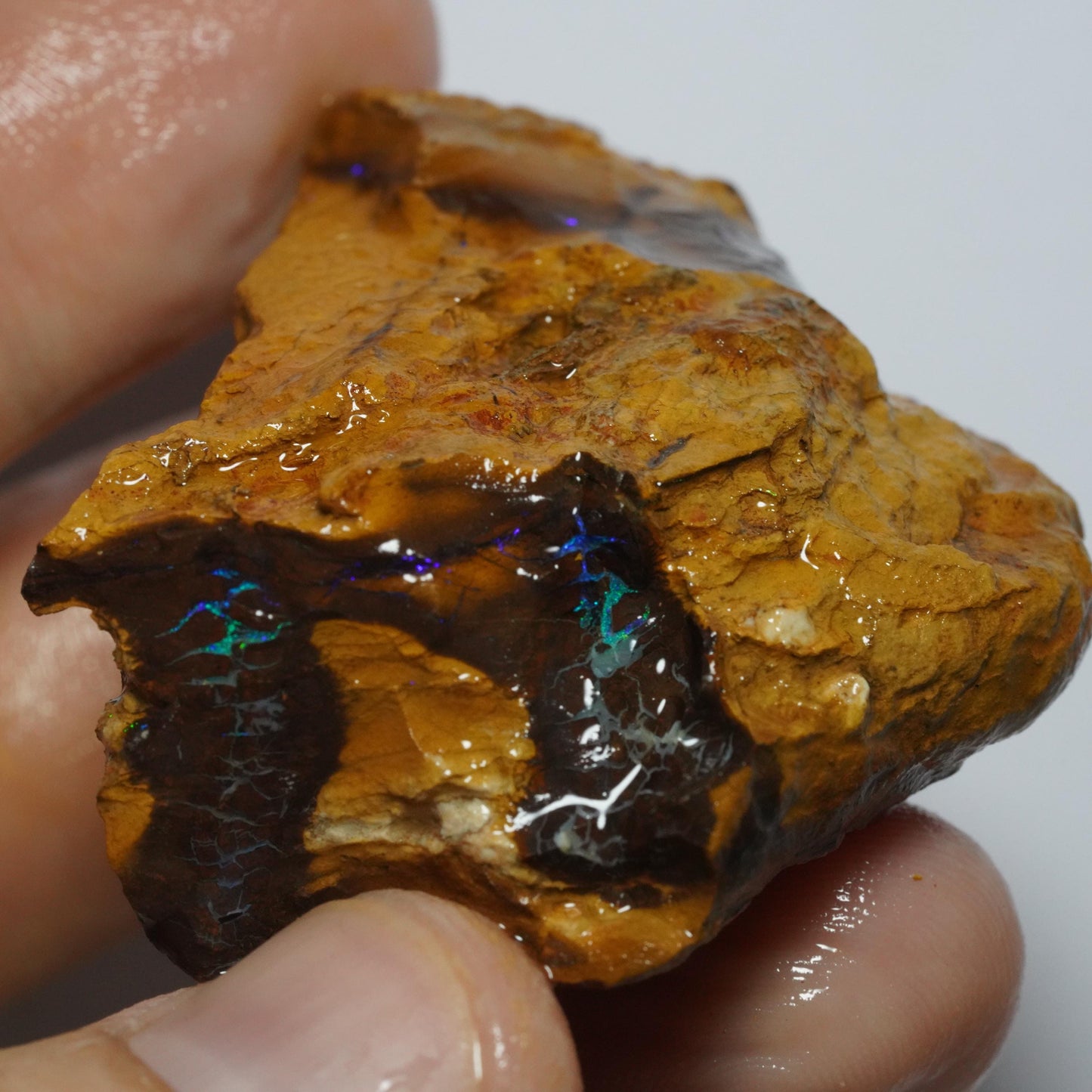 Boulder Opal