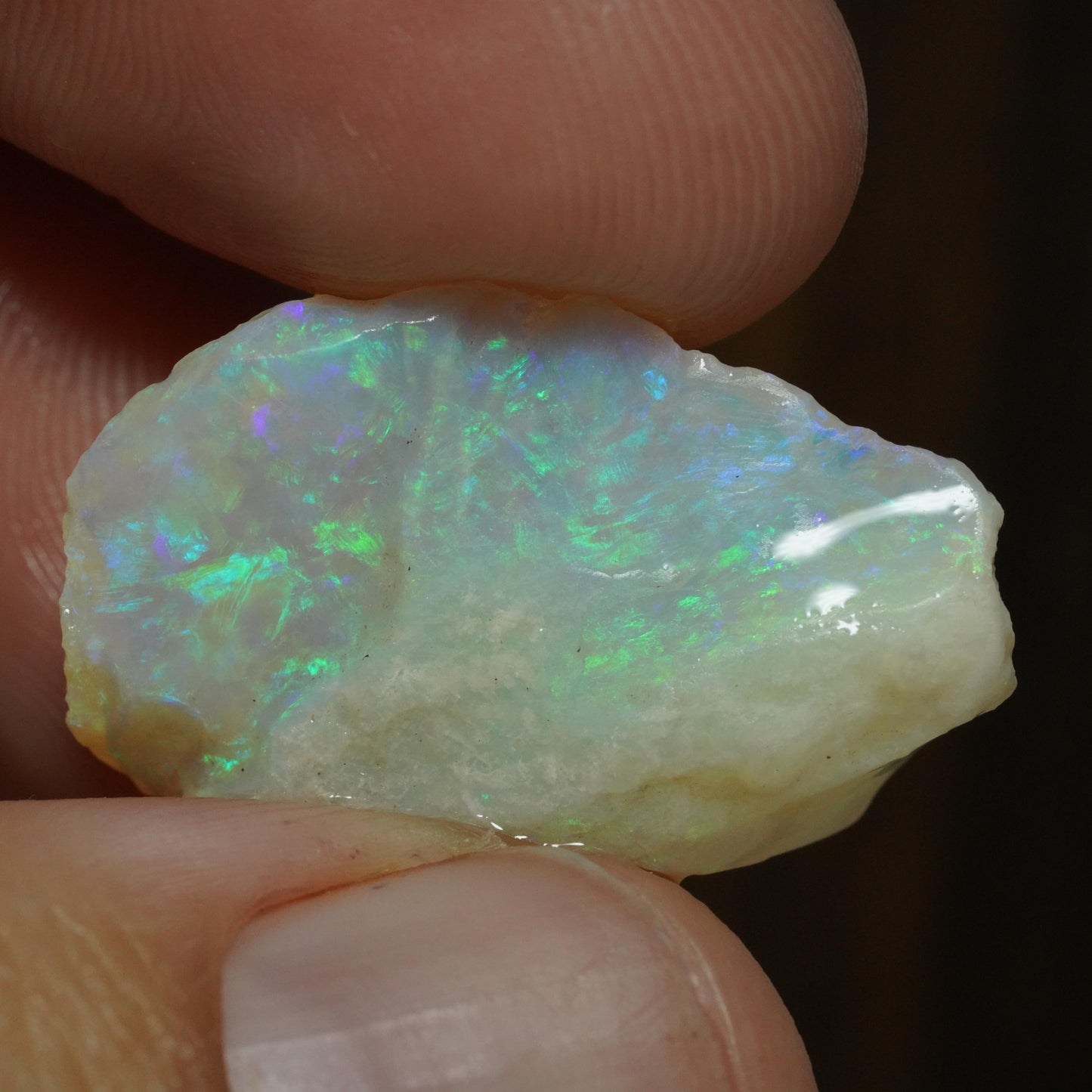 Australian Rough Opal