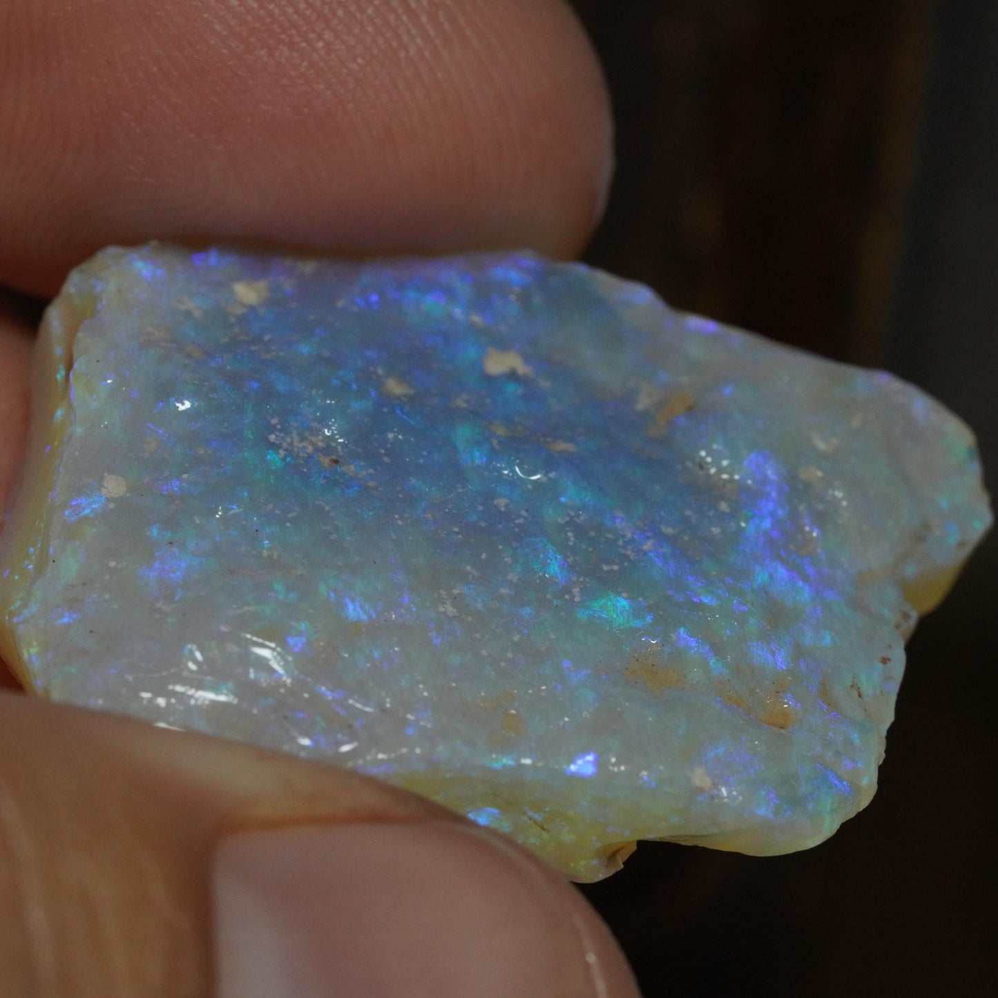 Australian Rough Opal