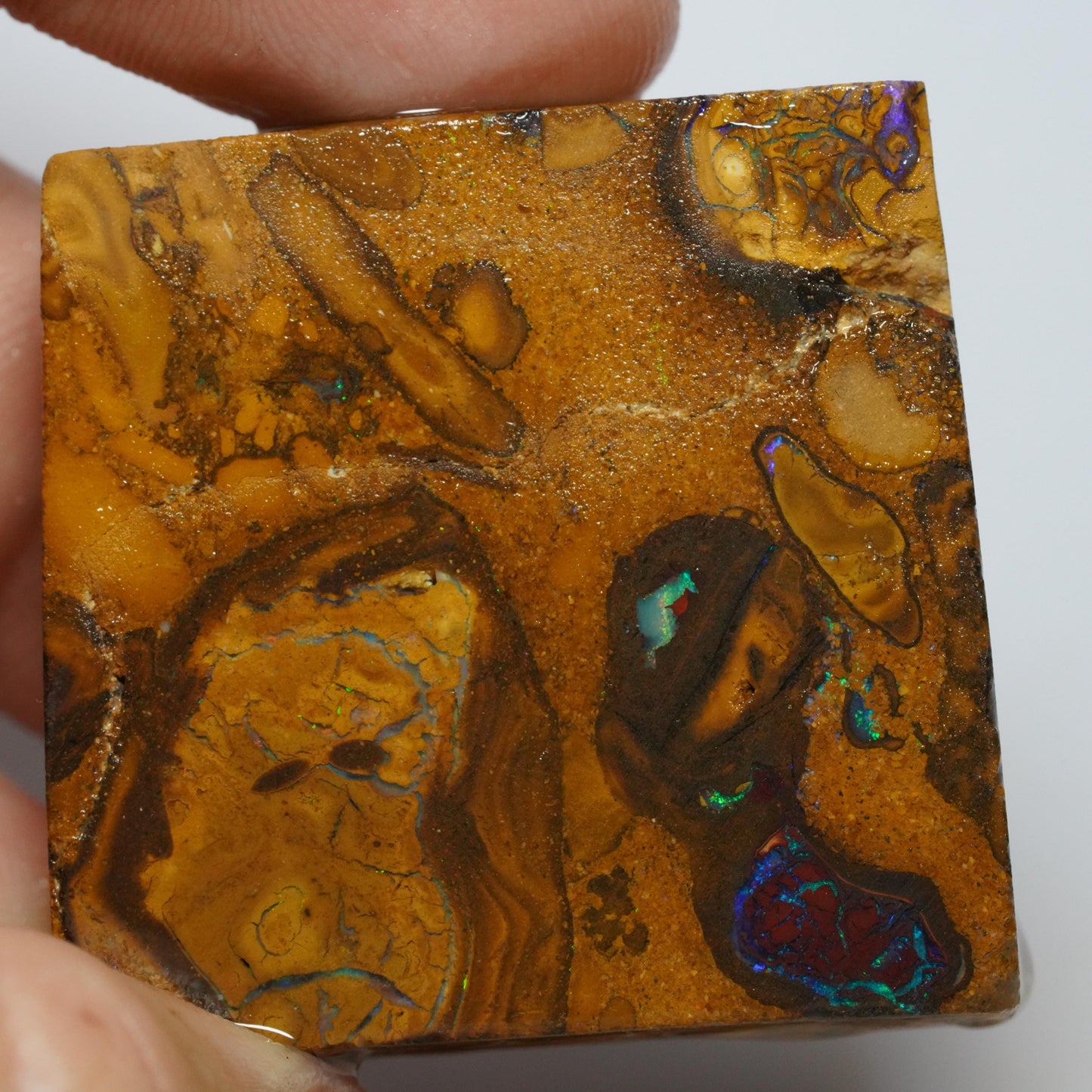 Boulder Opal Slab