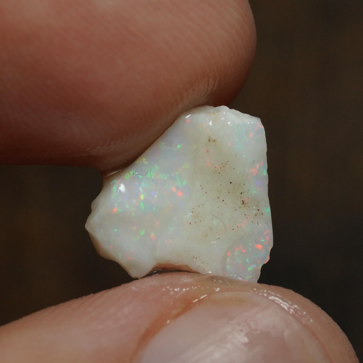 Australian Rough Opal