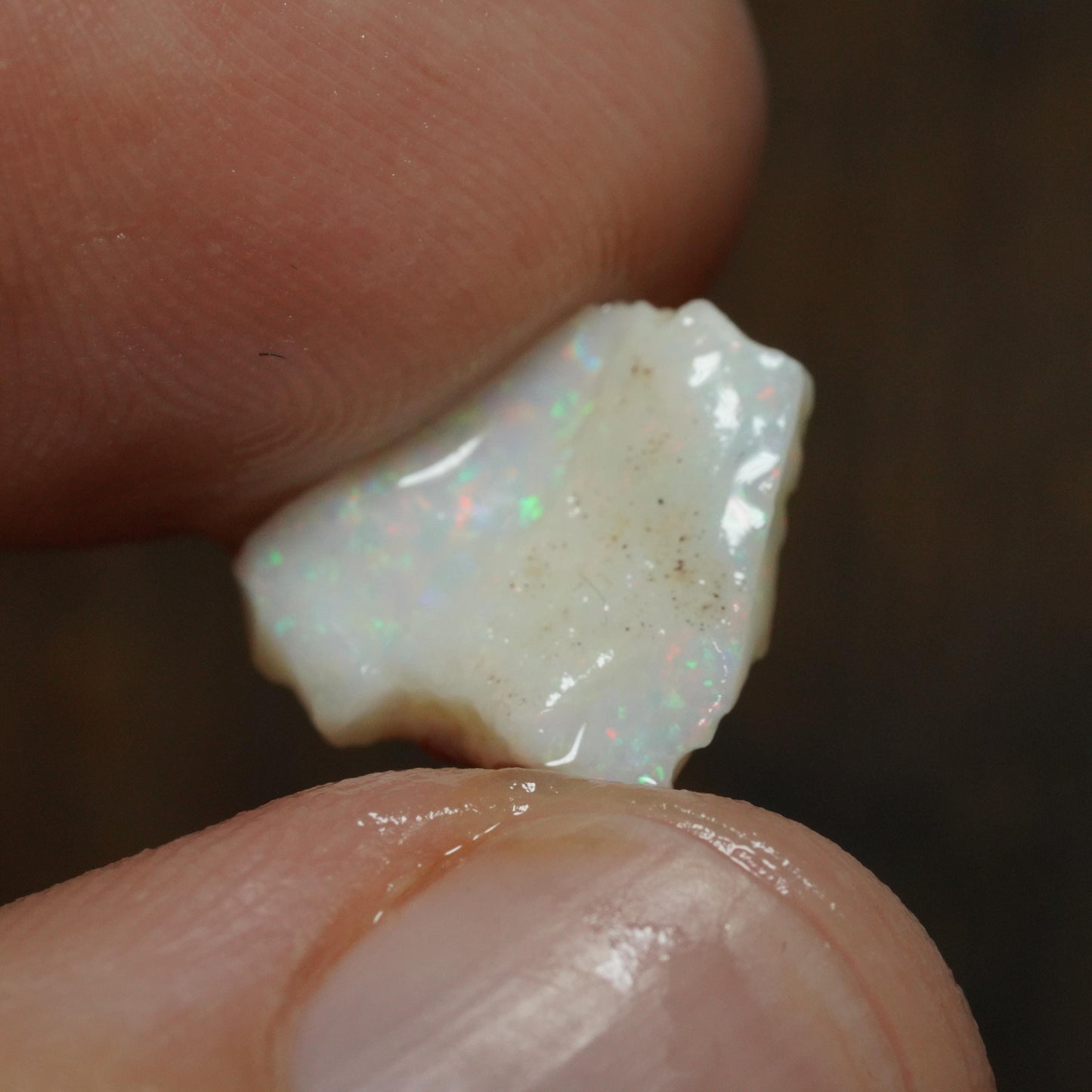 Australian Rough Opal