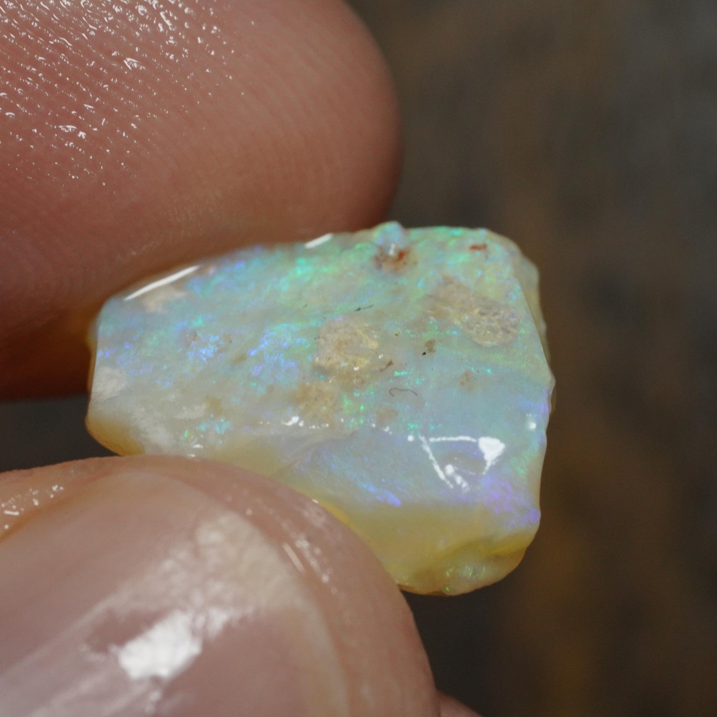 Australian Rough Opal