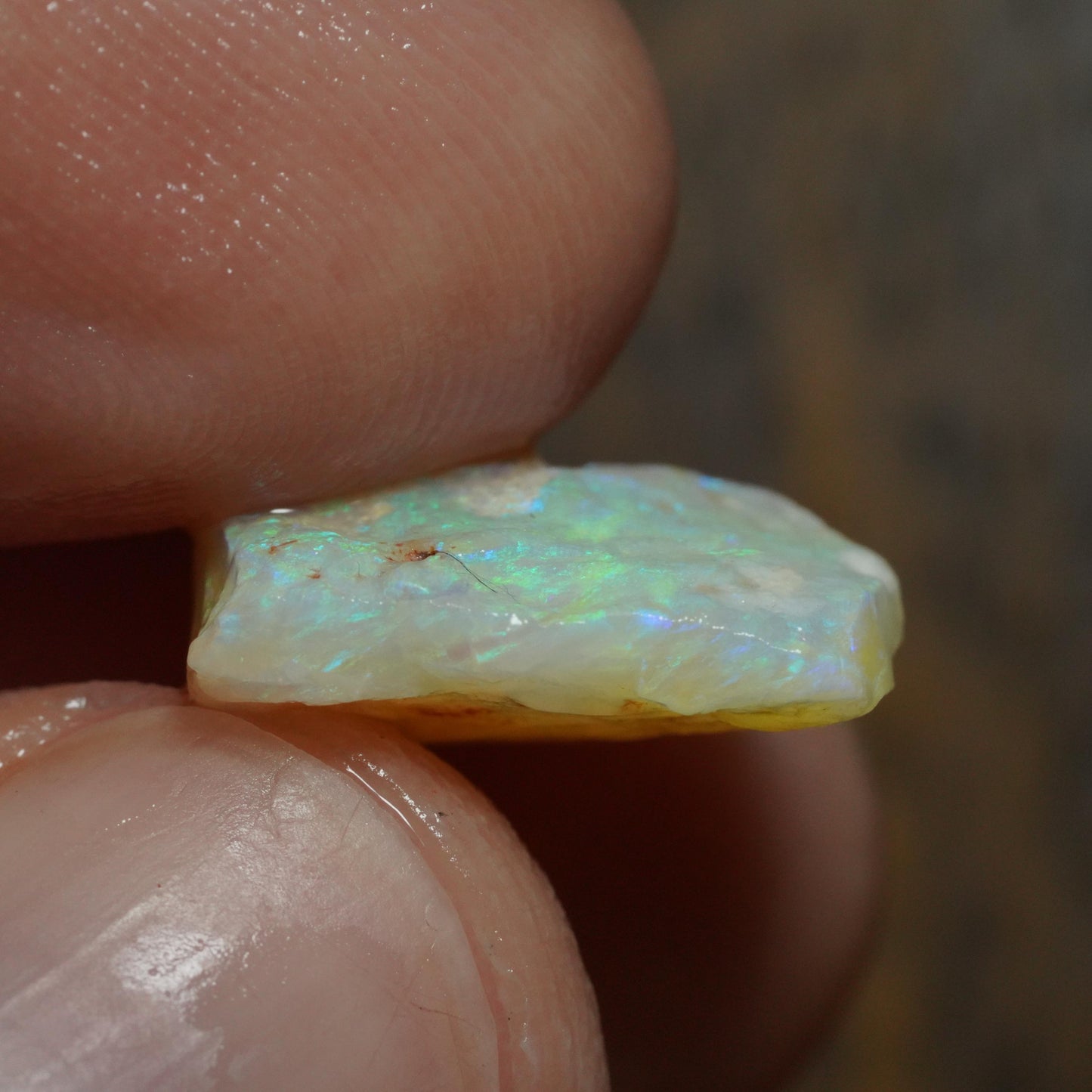 Australian Rough Opal