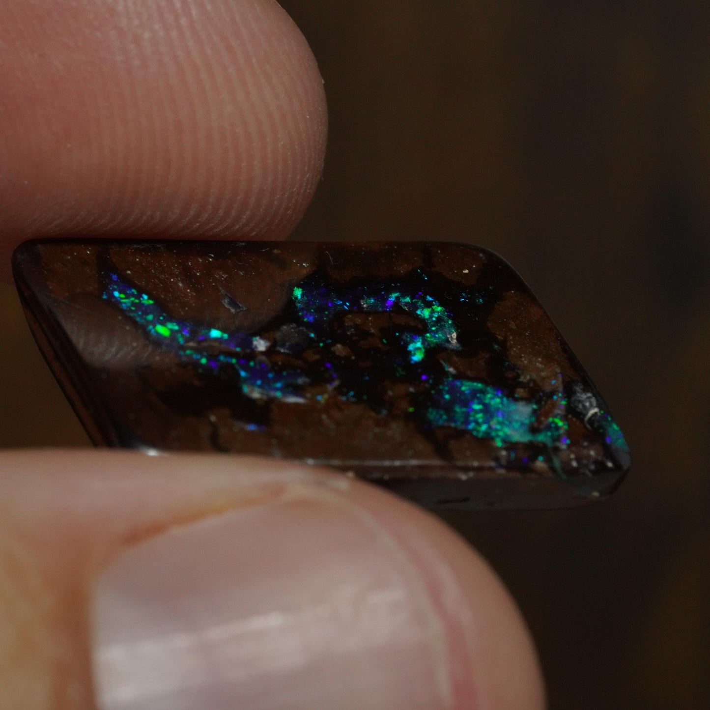 Boulder Opal Cut Stone