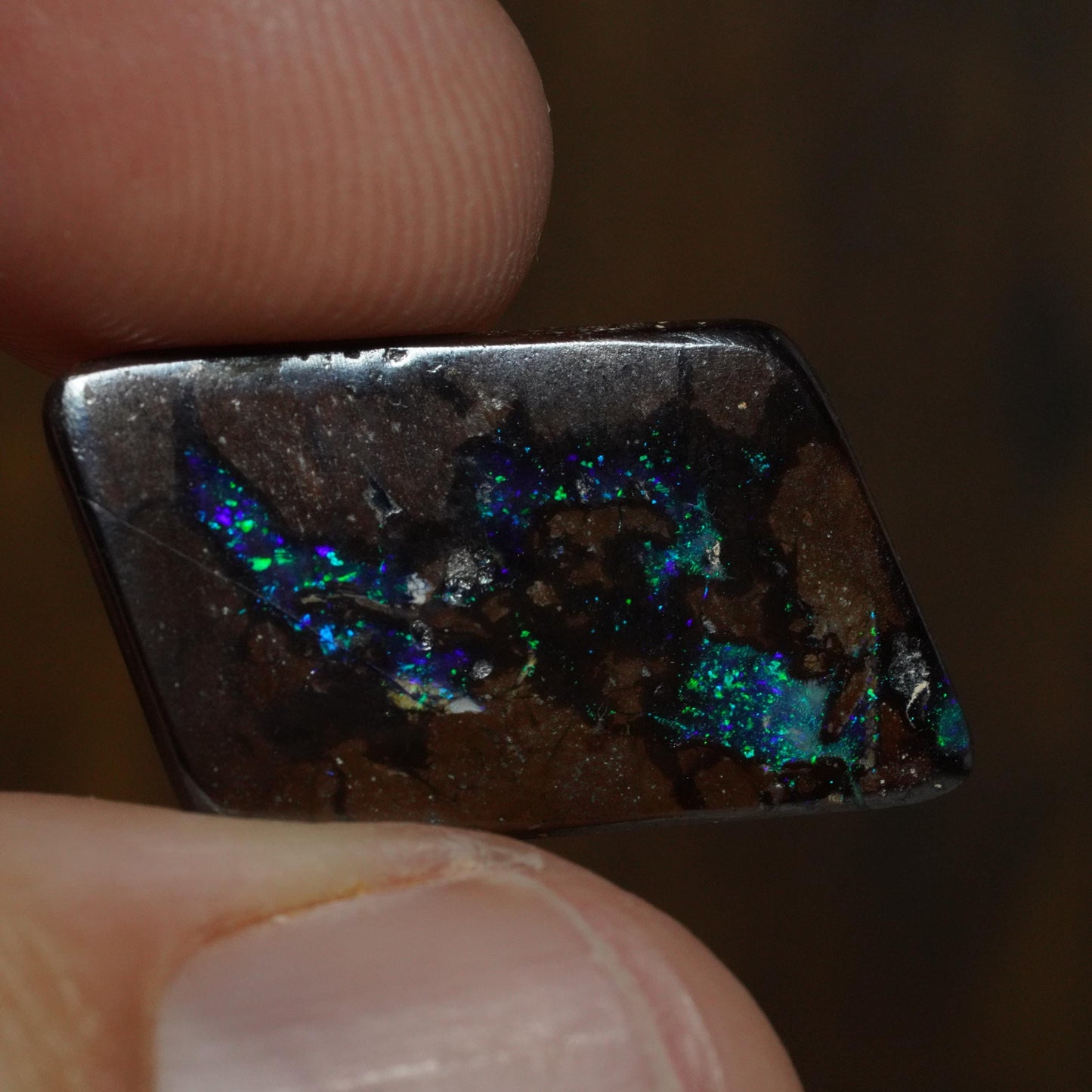 Boulder Opal Cut Stone