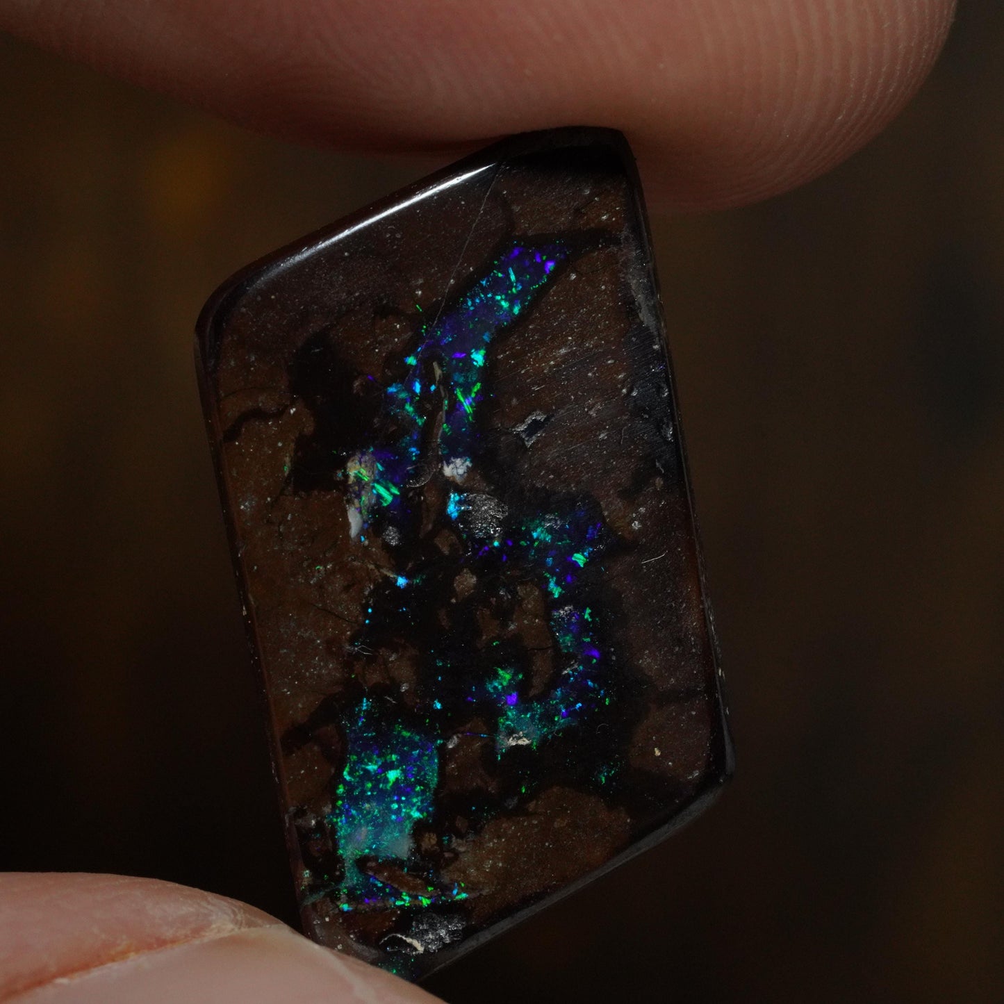 Boulder Opal Cut Stone