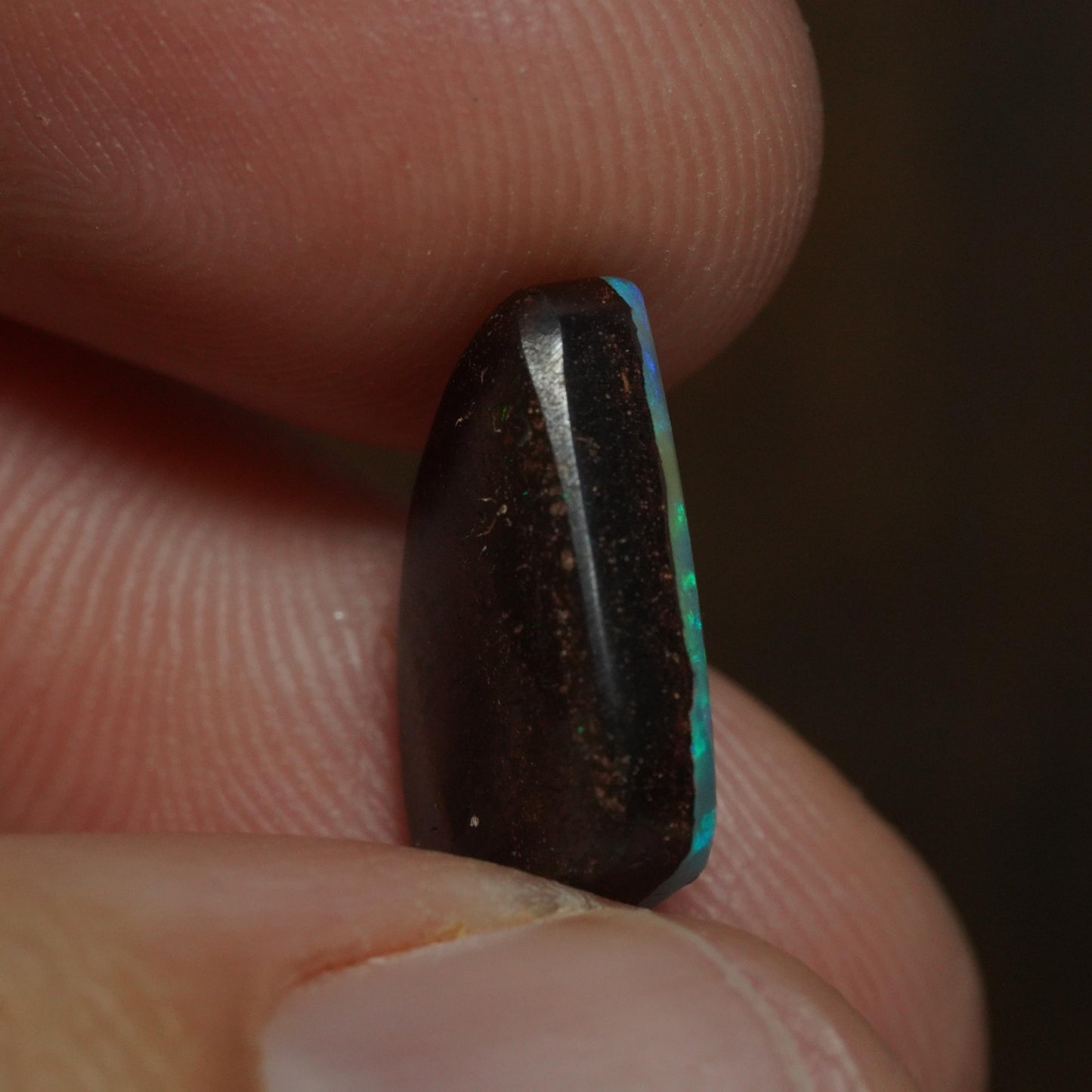 Boulder Opal Cut Stone