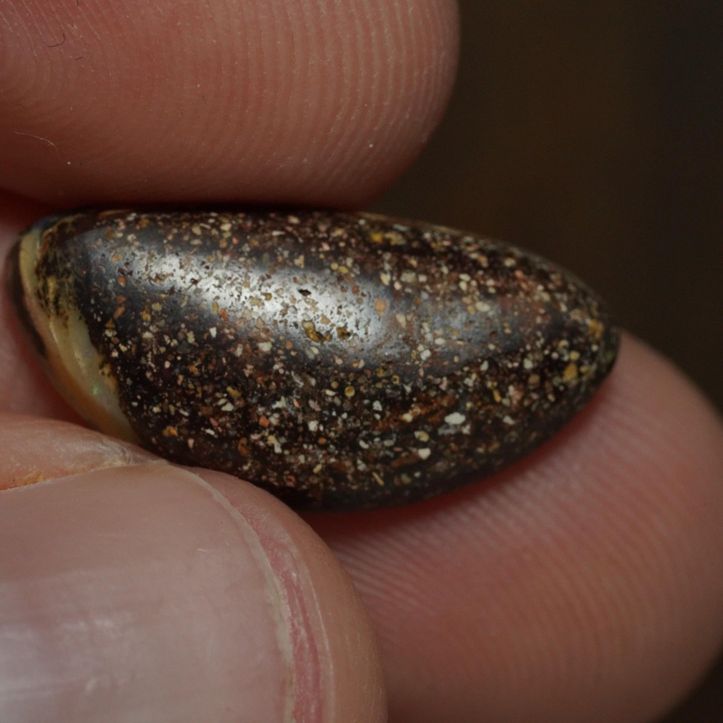 Boulder Opal Cut Stone