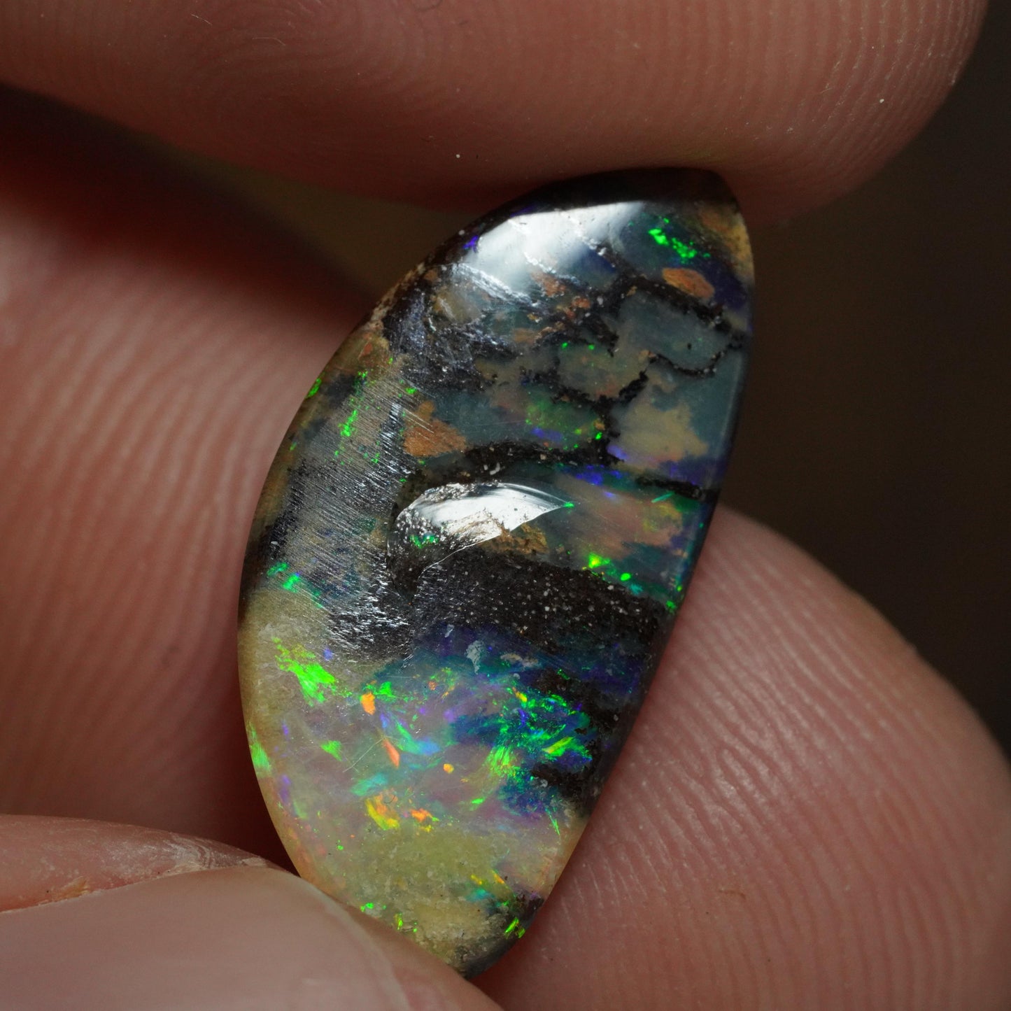Boulder Opal Cut Stone