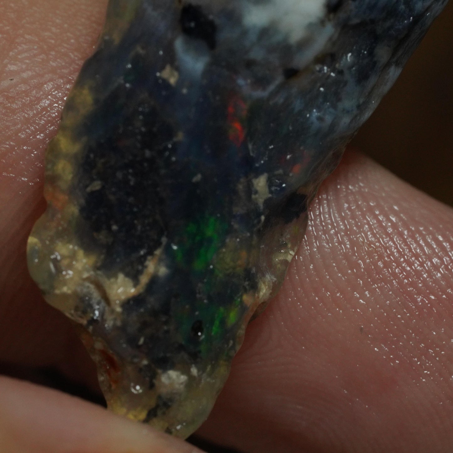 Opalised Fossil Plant Material