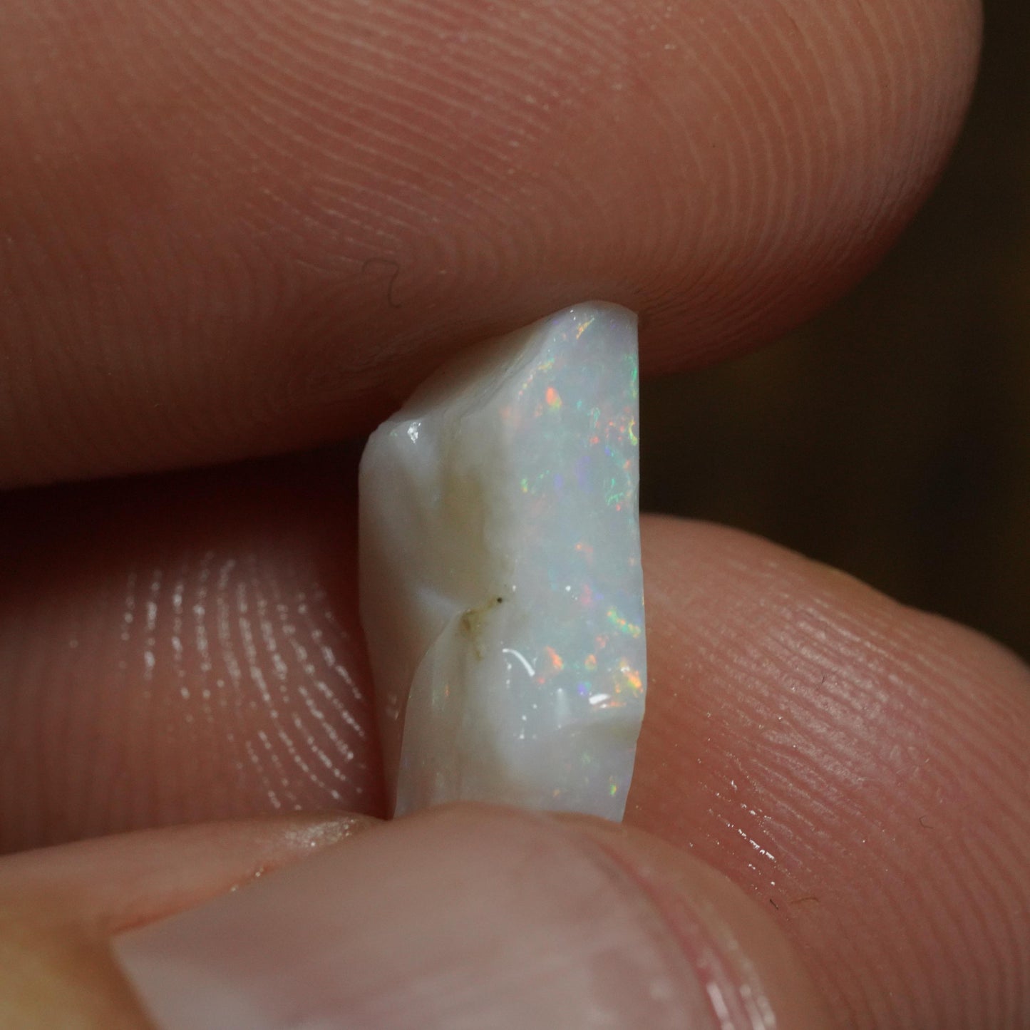 Australian Rough Opal