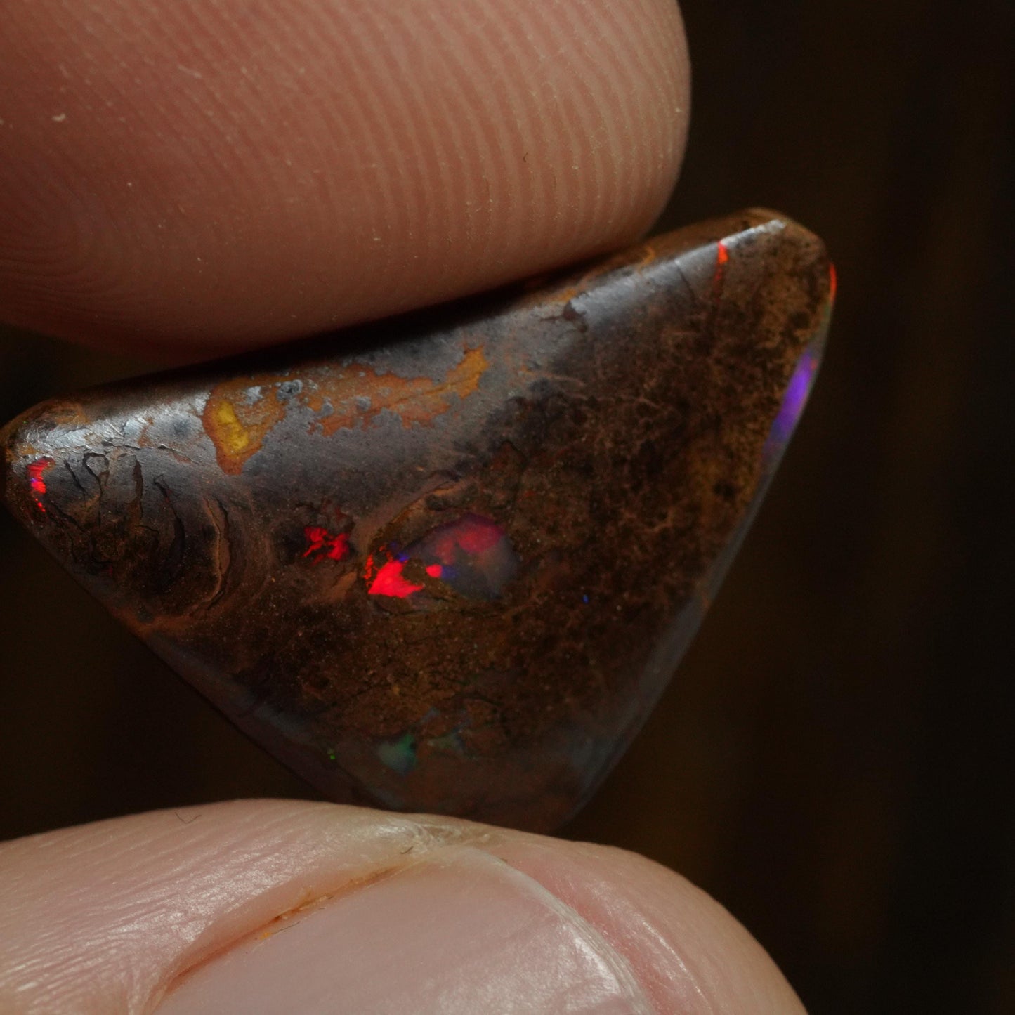 Boulder Opal Cut Stone