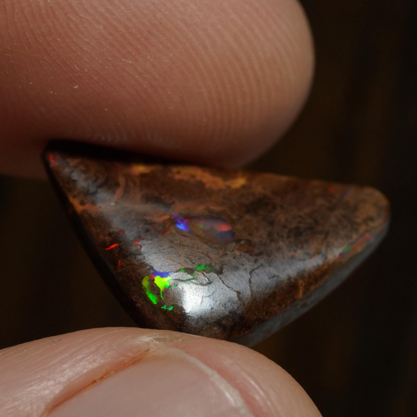 Boulder Opal Cut Stone