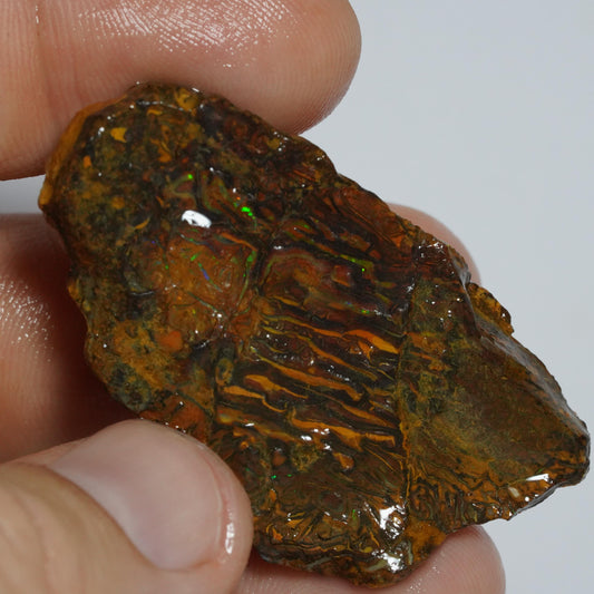 Rough Boulder Opal