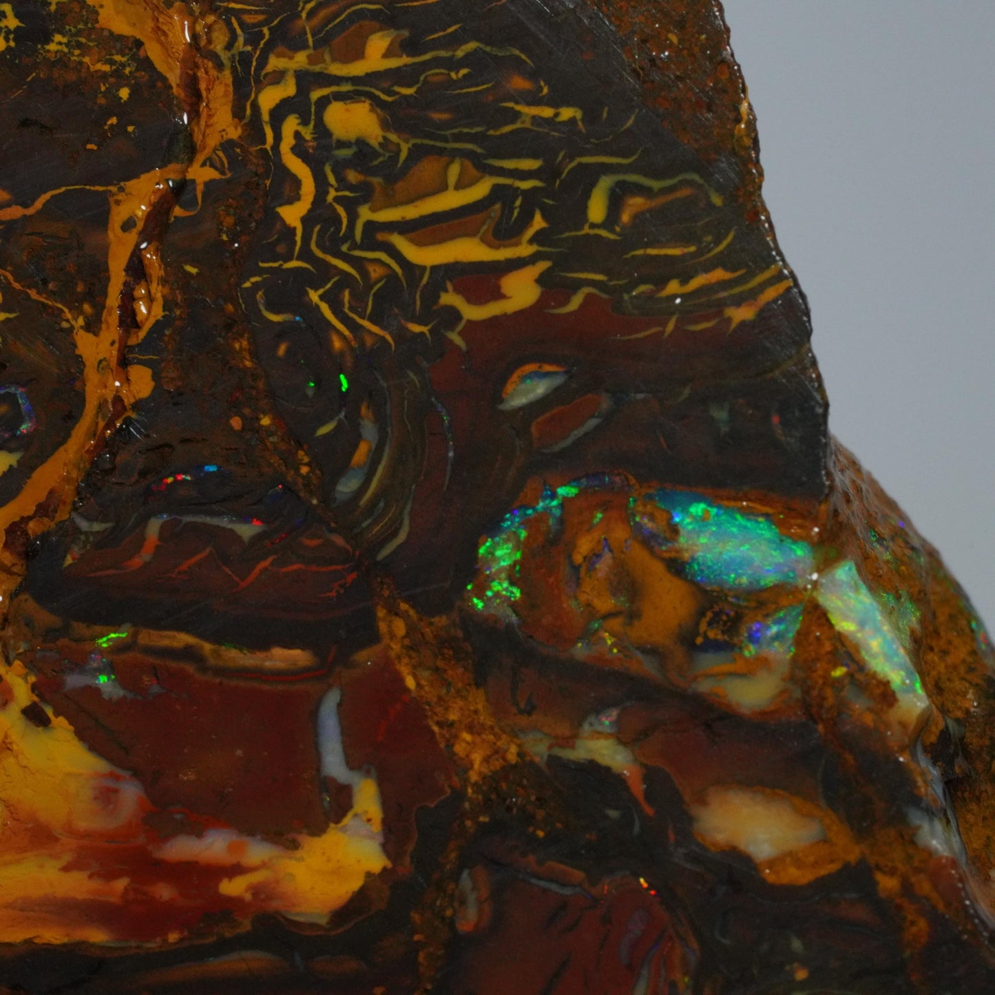 Rough Boulder Opal