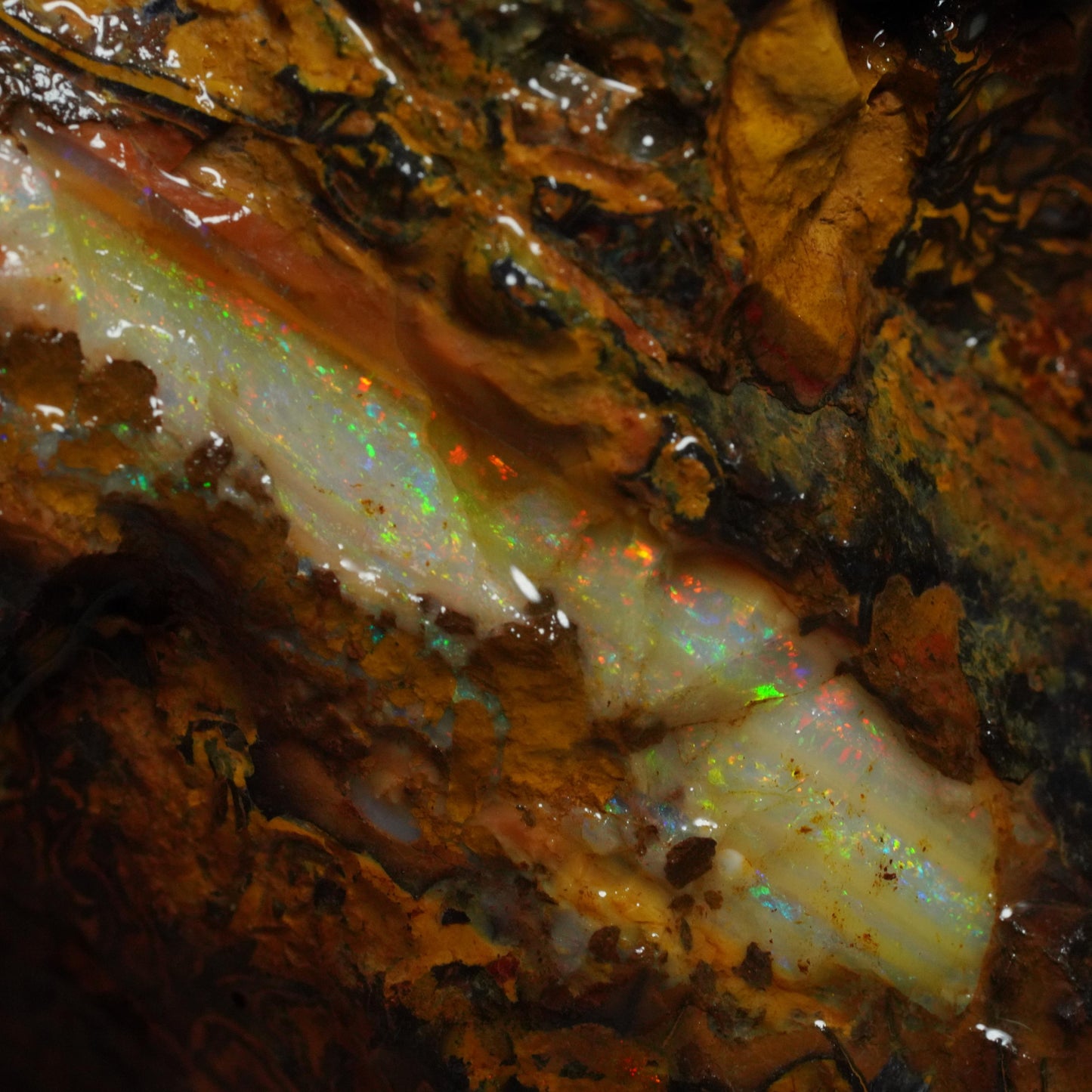Rough Boulder Opal