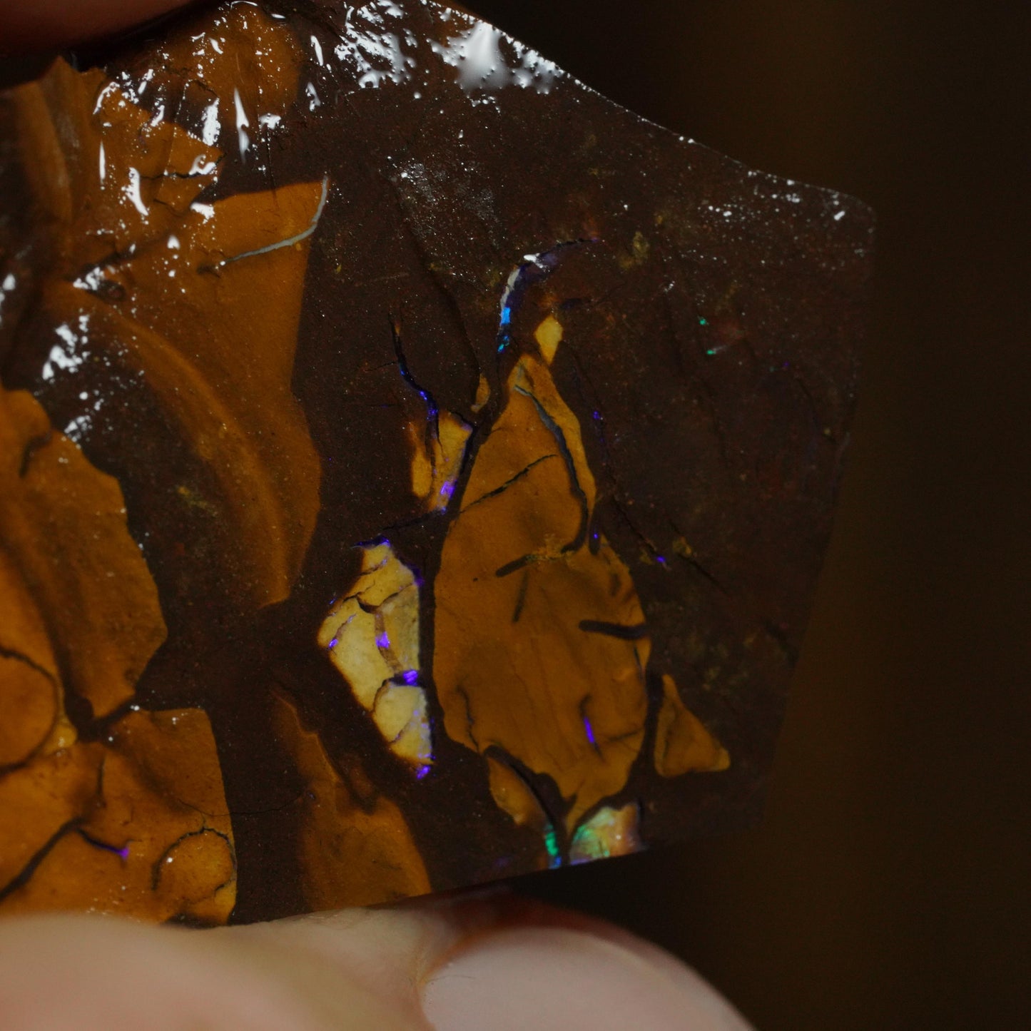 Rough Boulder Opal