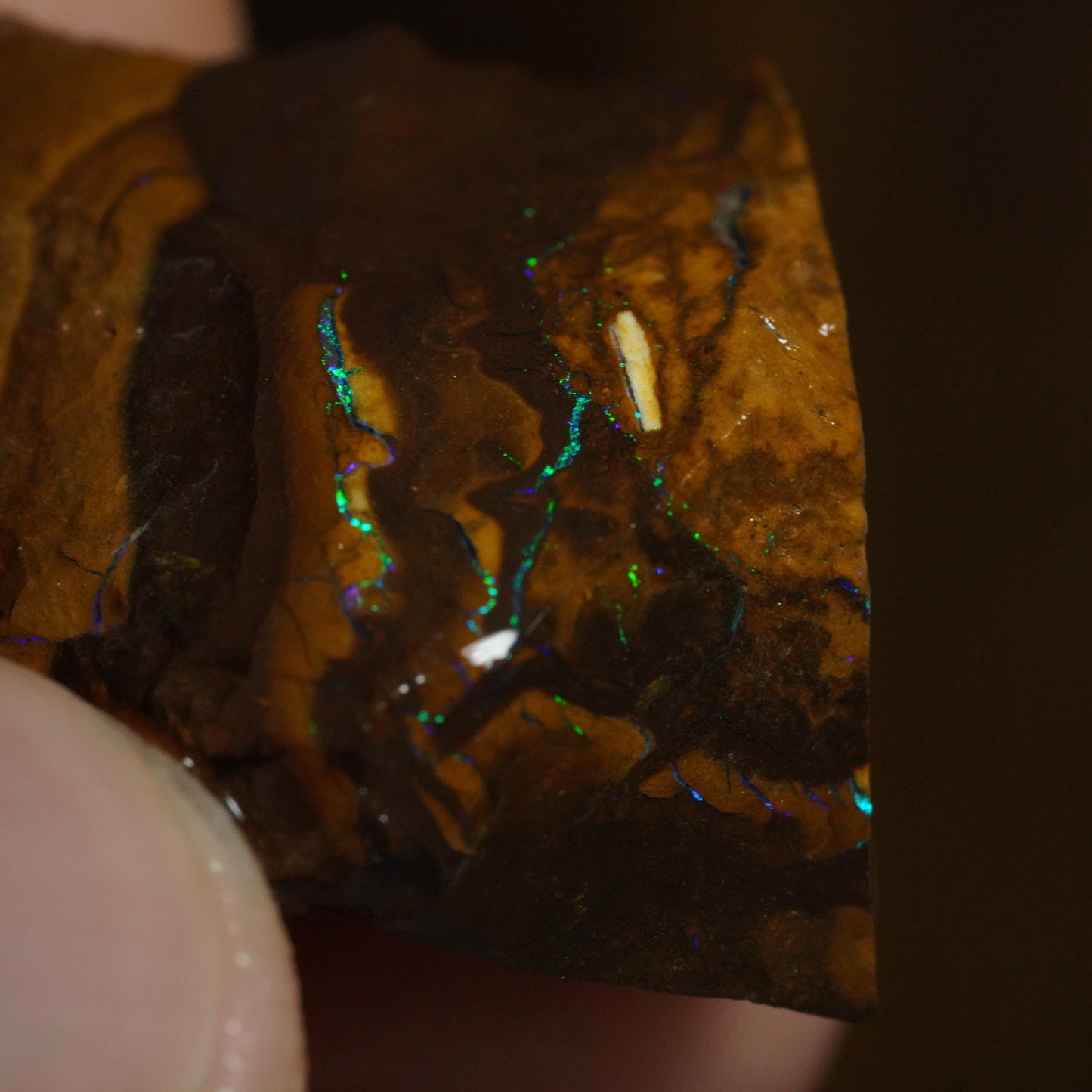 Rough Boulder Opal