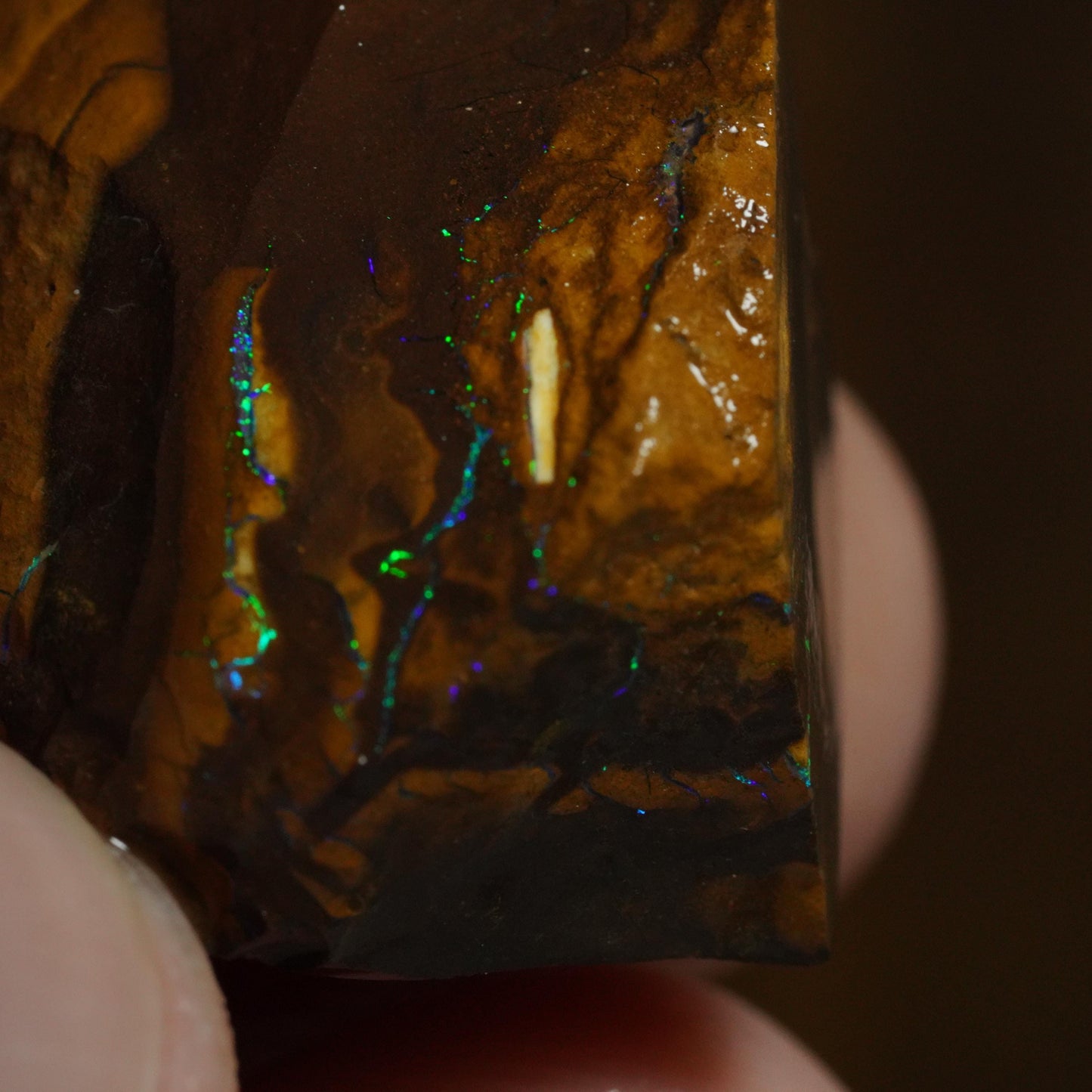 Rough Boulder Opal