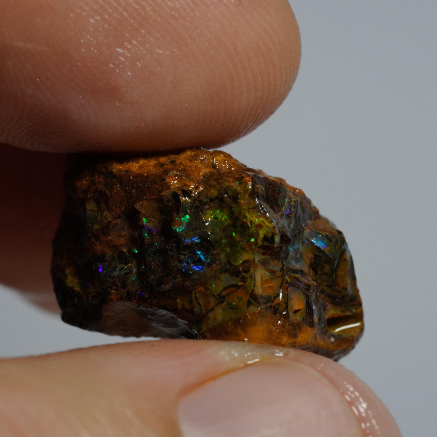 Rough Boulder Opal