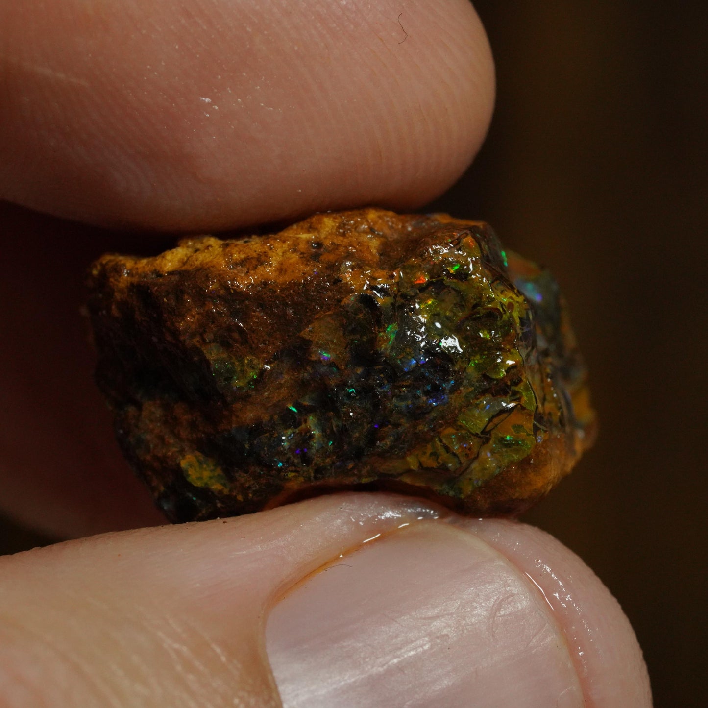 Rough Boulder Opal