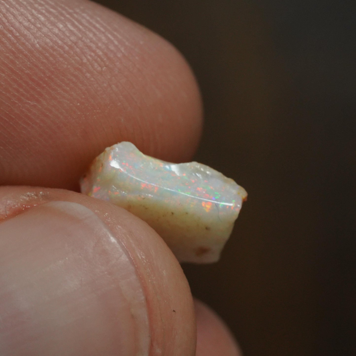 Australian Rough Opal