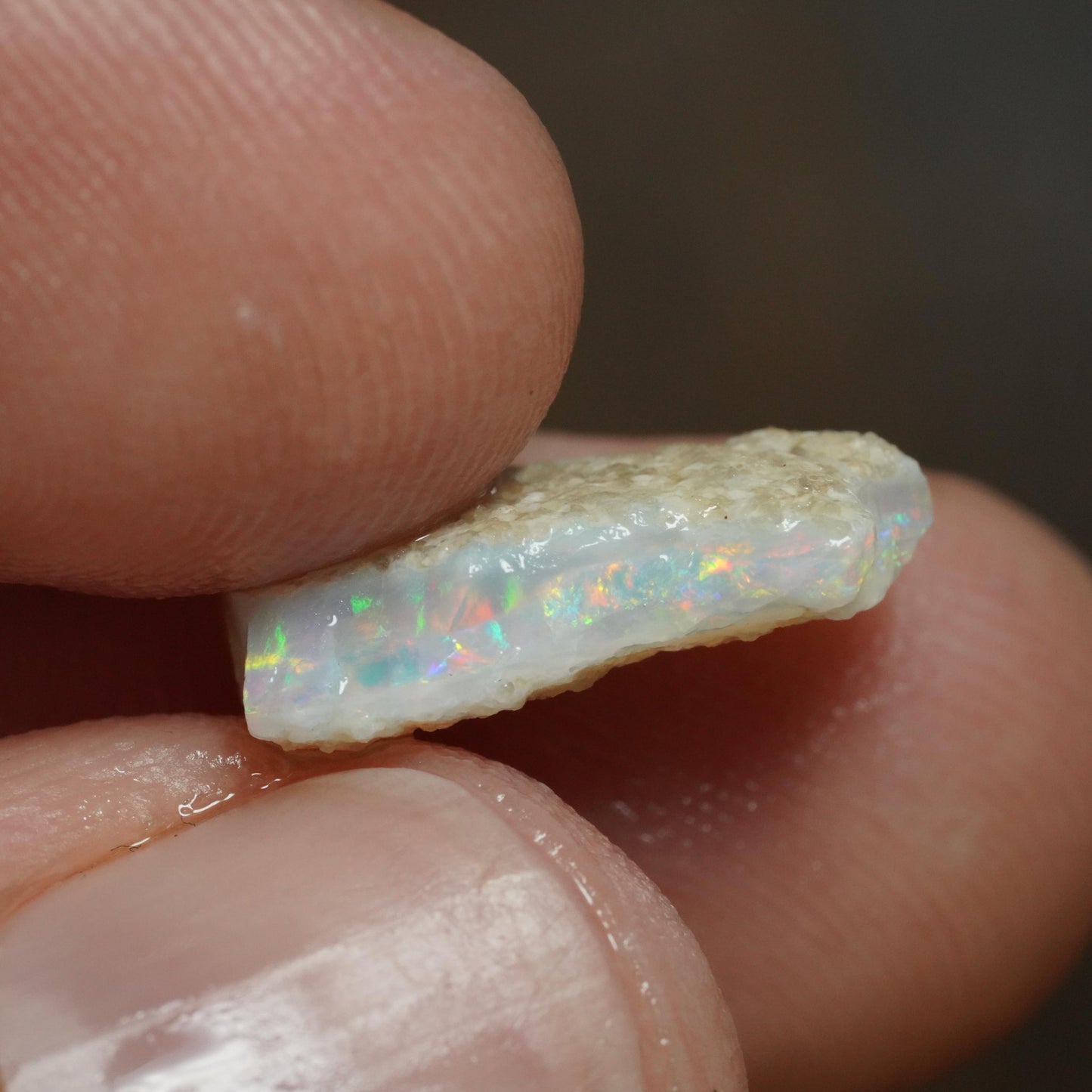 Australian Rough Opal