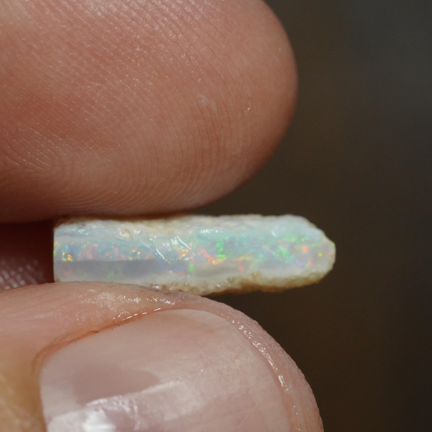 Australian Rough Opal