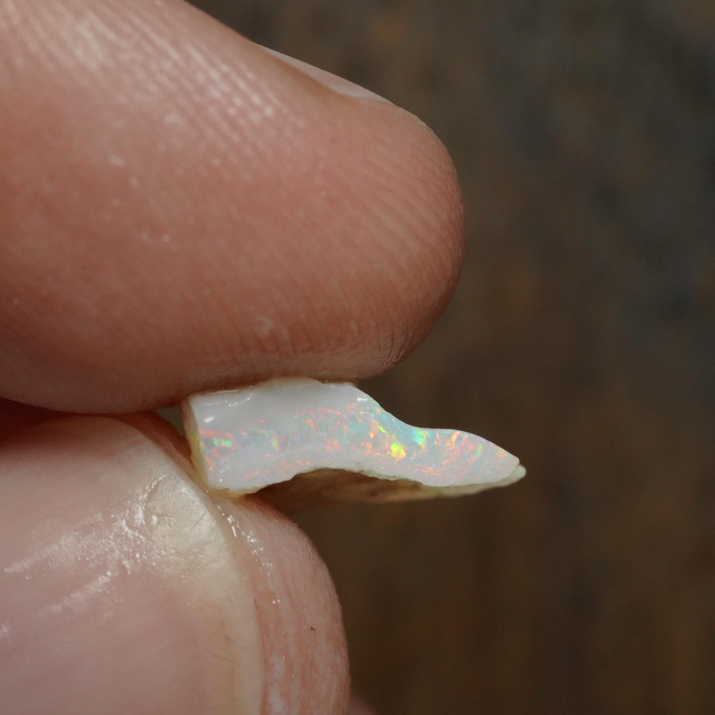 Australian Rough Opal