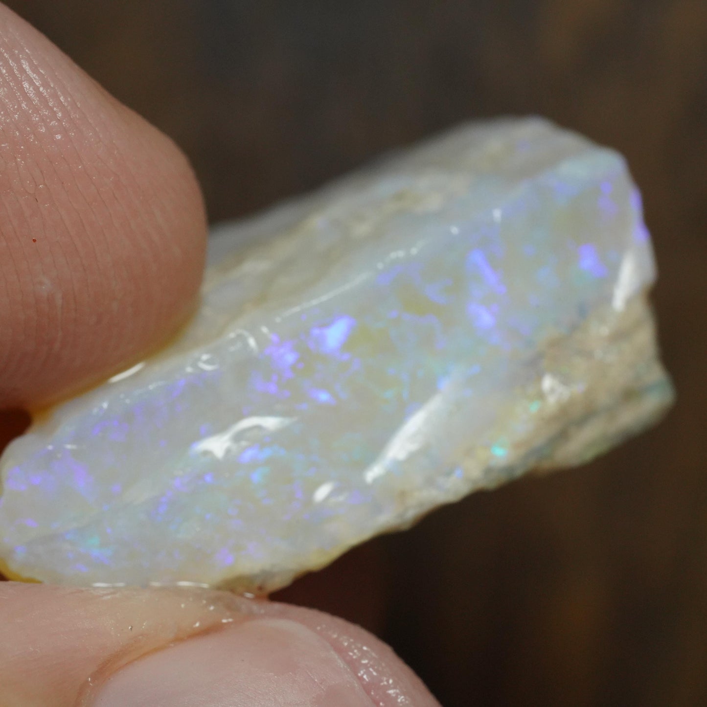 Australian Rough Opal