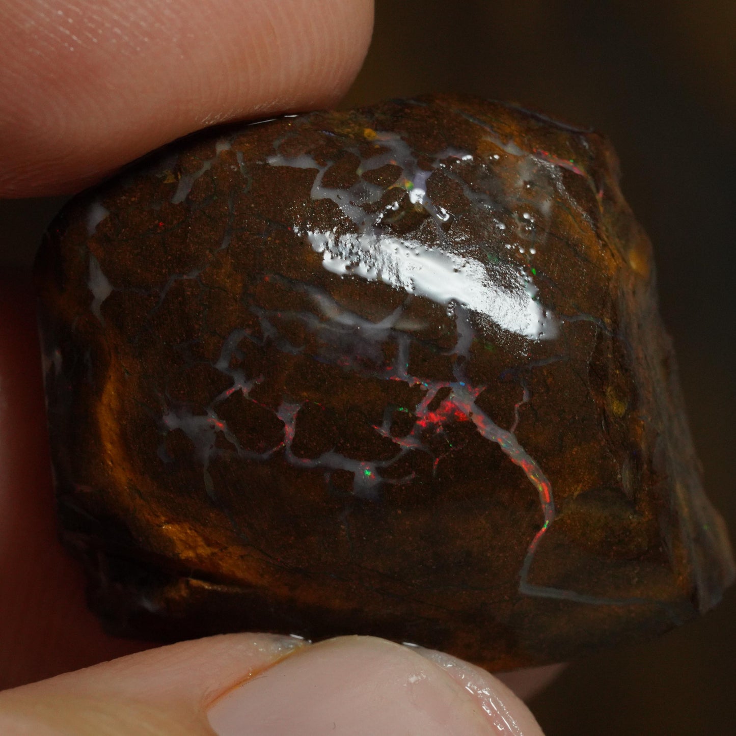 Boulder Opal Rub