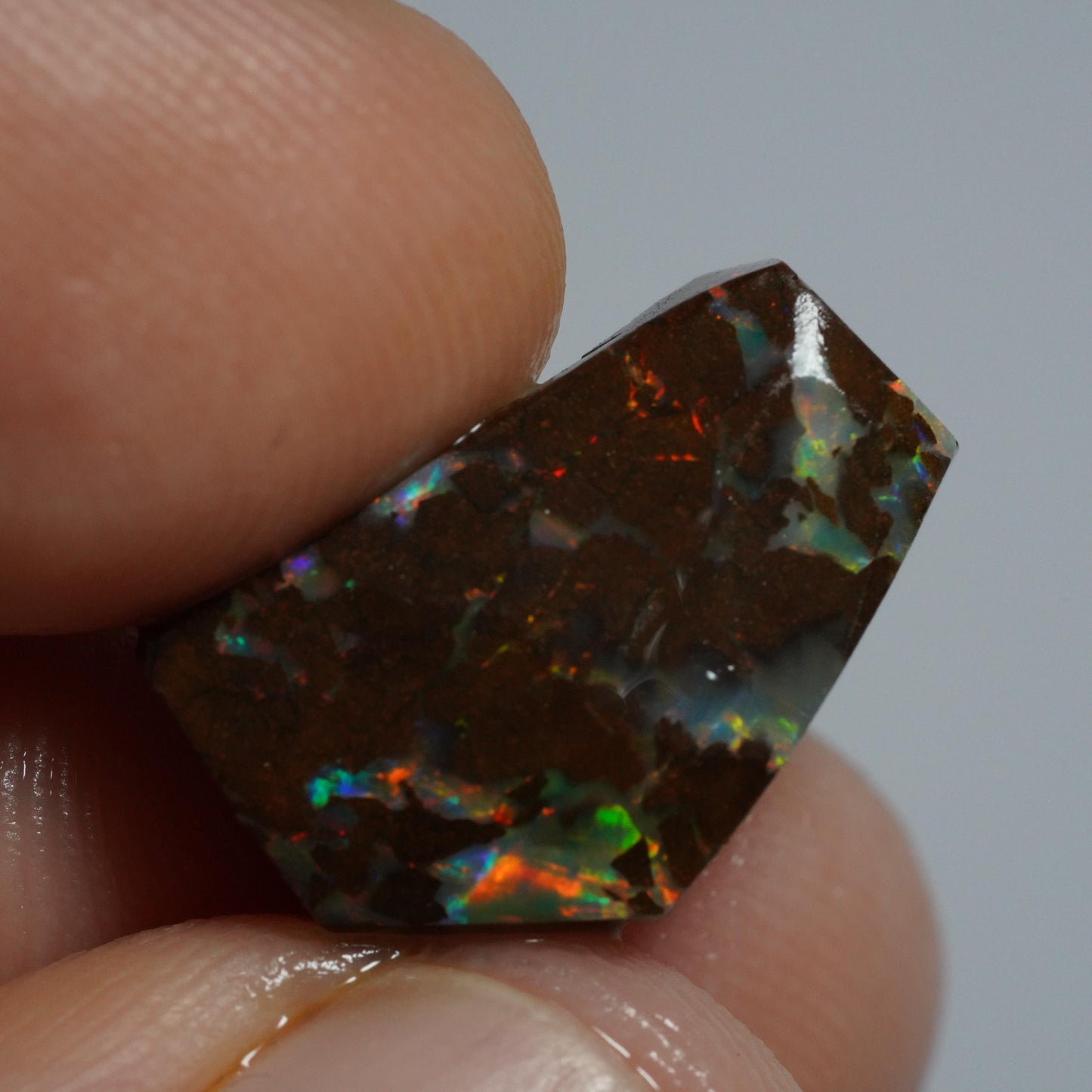 Boulder Opal