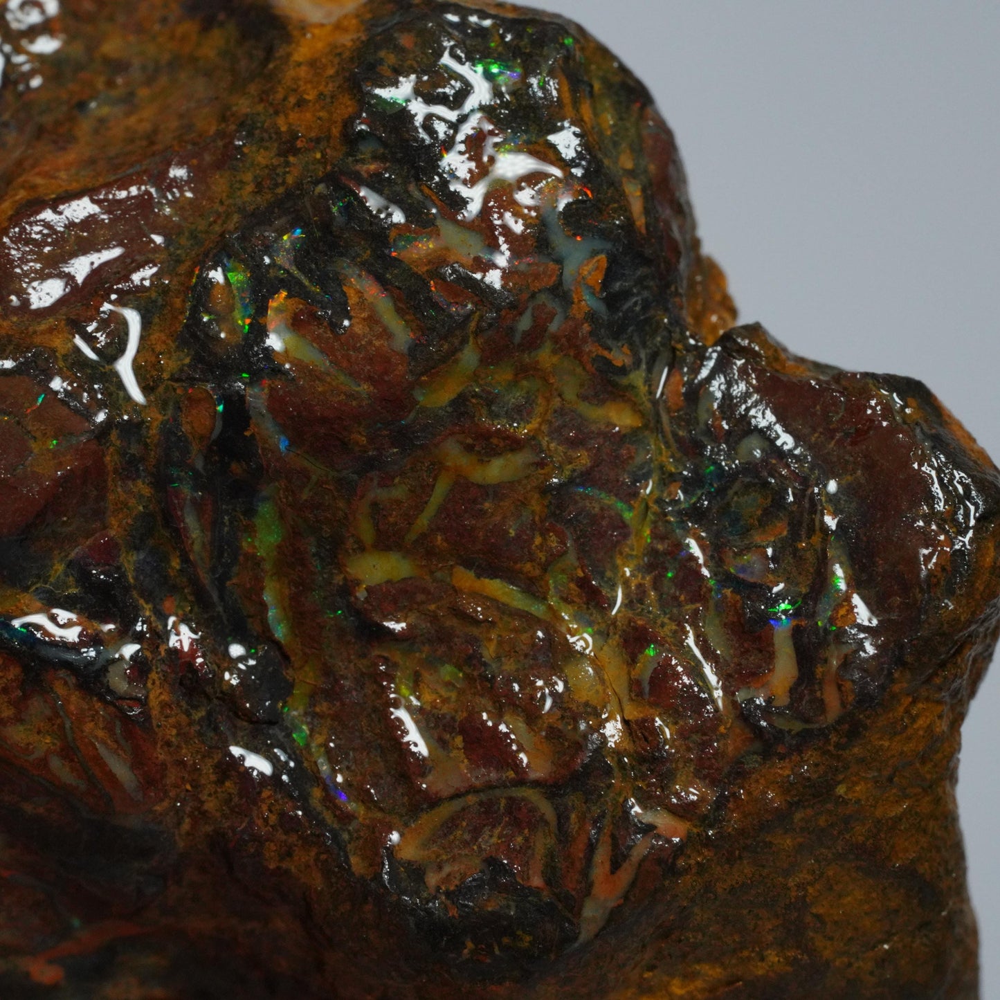 Boulder Opal