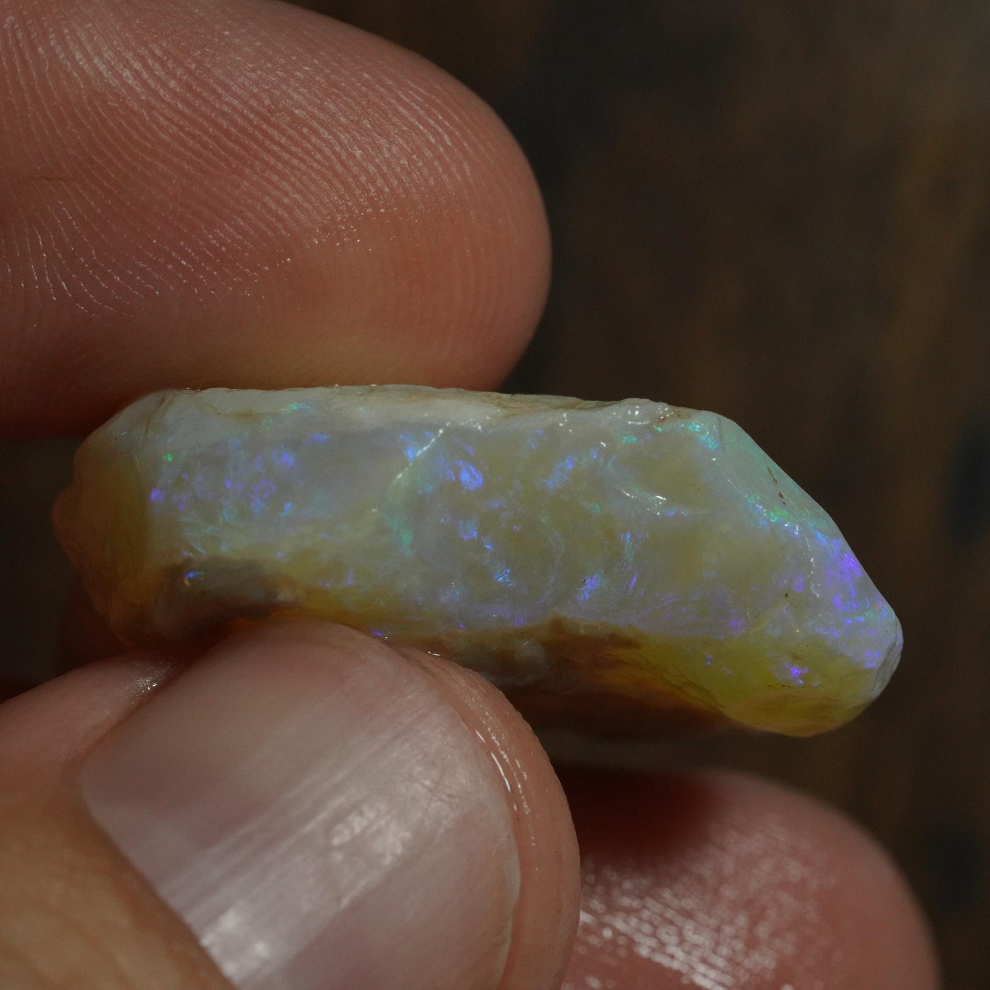Australian Rough Opal