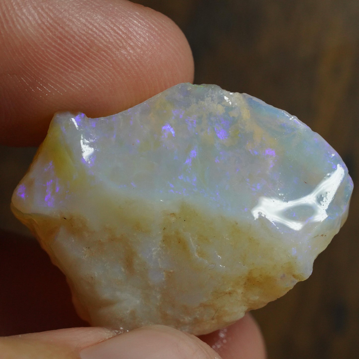 Australian Rough Opal