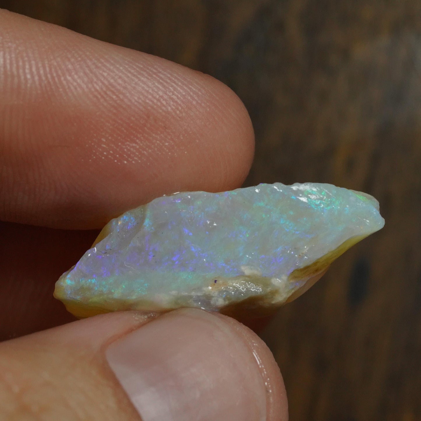 Australian Rough Opal