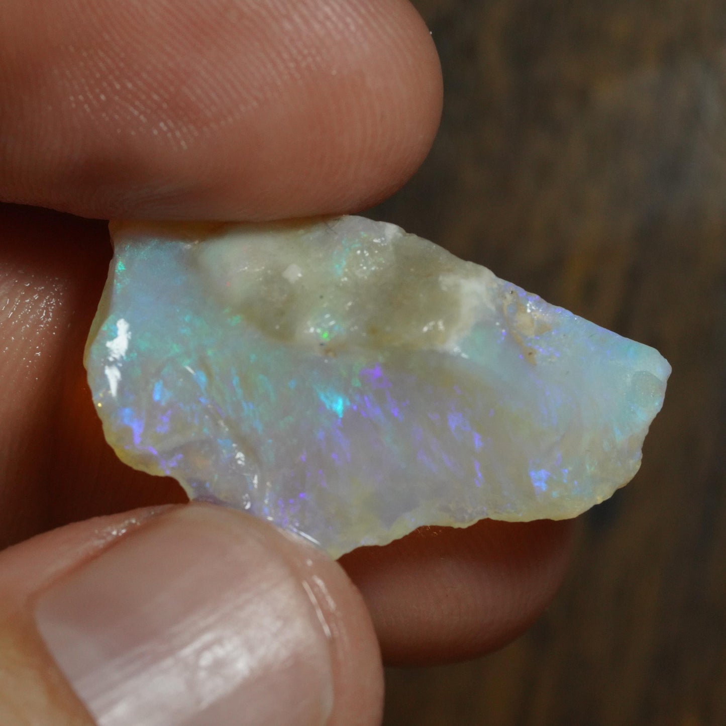 Australian Rough Opal