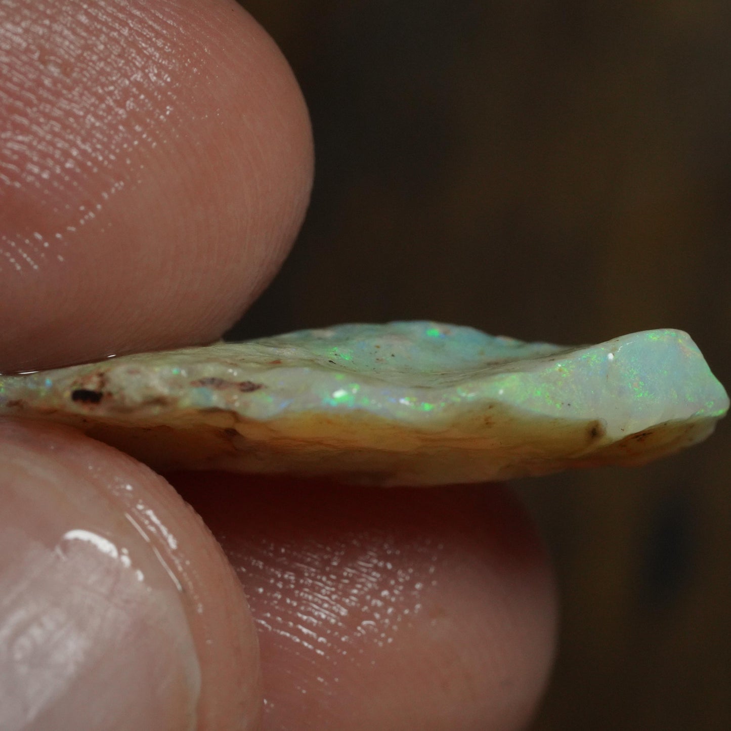 Australian Rough Opal